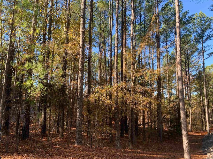 East side lot near Isabella Golf Course.  Hot Springs Village is a gated community with 9 golf courses; 12 lakes; walking trails; state of the art fitness center; tennis complex; indoor/outdoor pickbleball courts; and new outdoor pool. Come see all that the Village has to offer! New Member Buy-in Fee due at closing.