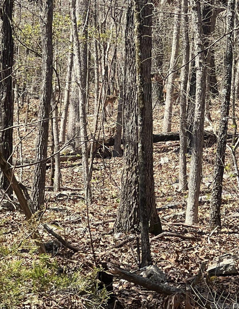 Owner financing is available- This wooded lot is a great spot to build your forever home, vacation home or plan for retirement. This lot is on a dead end circle drive. All three of the lots we have available take up the entire dead-end road. The Horseshoe Bend Water Department will have Water & Sewer information for you concerning water service and trash service and road maintenance. That number is 870-670-5885 or you can email at water@cityhsb.org The electricity is provided by North Arkansas Electric Cooperative. Their number is 870-895-3221. There are houses nearby since this land is all the way at the end of the street which backs up closer to current utility poles. Horseshoe Bend has so much to do for the whole family like fishing, canoeing, golfing, bowling, swimming, etc. Diamond Lake & Crown Lake are a 5-minute drive from these lots! Crown Point Resort is also 5-minutes offering local jobs and entertainment! Horseshoe Bend is also ATV friendly, with a permit. There are several outer roads that aren't being maintained to go riding on! Lots of creeks, wildlife and hills to explore!
