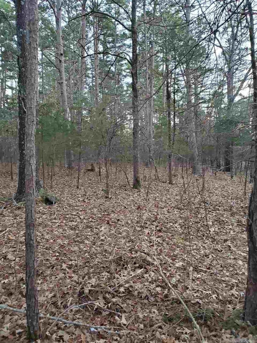 What a great lot to build your lake home on.  Just across the street from beautiful Greers Ferry Lake. Electric and utilities close by.