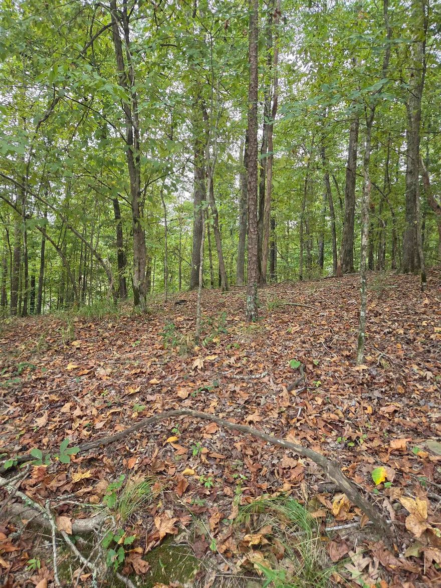 Gorgeous lakeview lot in the Diamondhead Resort Community, only a few minutes from downtown Hot Springs, and close to hospitals, shopping, and restaurants.  The community features an 18-hole PGA-sanctioned golf course, an Olympic-sized swimming pool, a playground for children, tennis, basketball & pickleball courts, a restaurant, a library & workout room, and a pavilion area for picnics and gatherings. Lake Catherine is just 1 mile away, offering hiking trails, a marina, boat rentals, & swimming, as well as plenty of fishing, boating, golfing, and lots of fun activities for everyone.