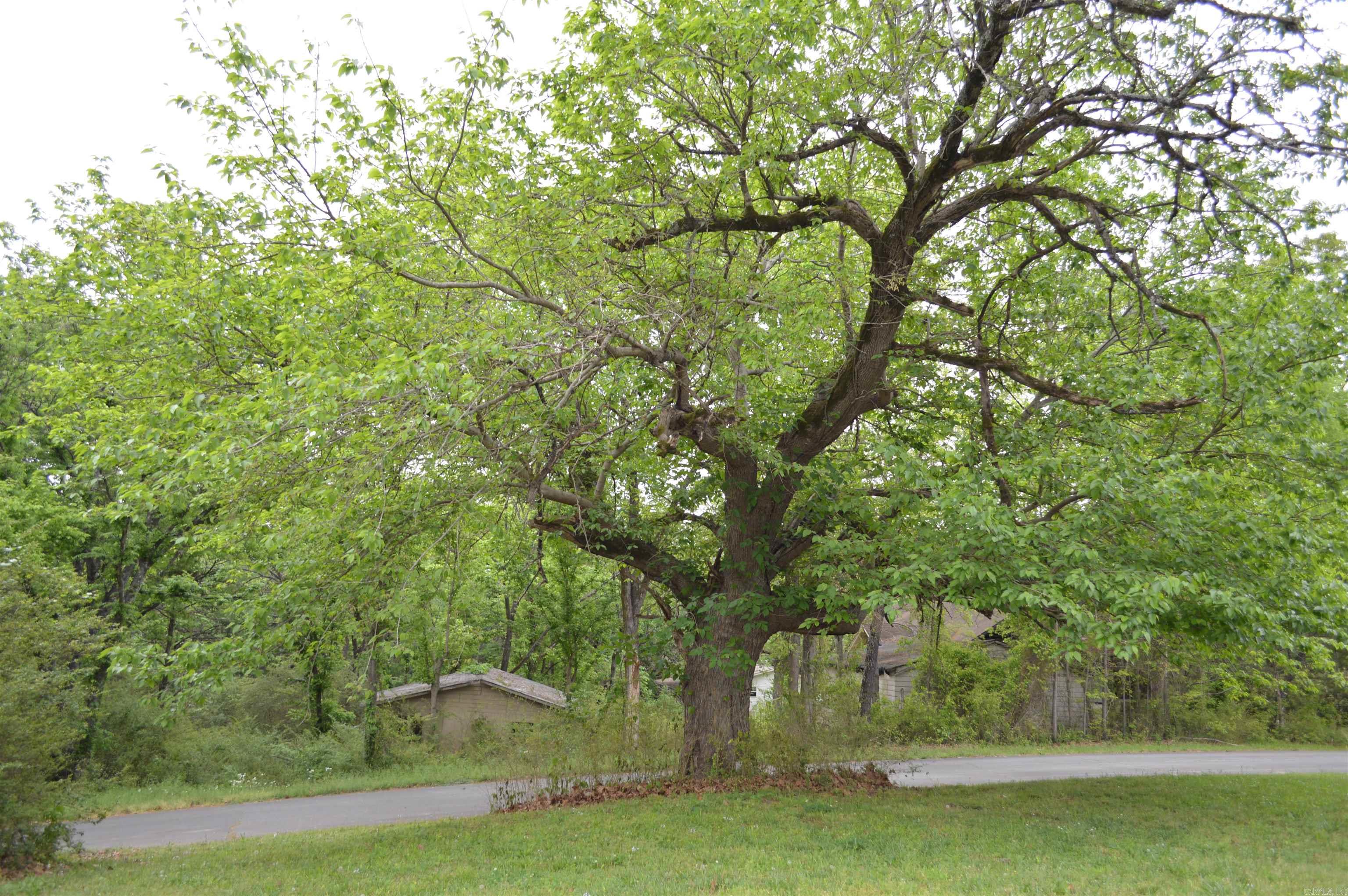 NORTH ADDITION - Residential