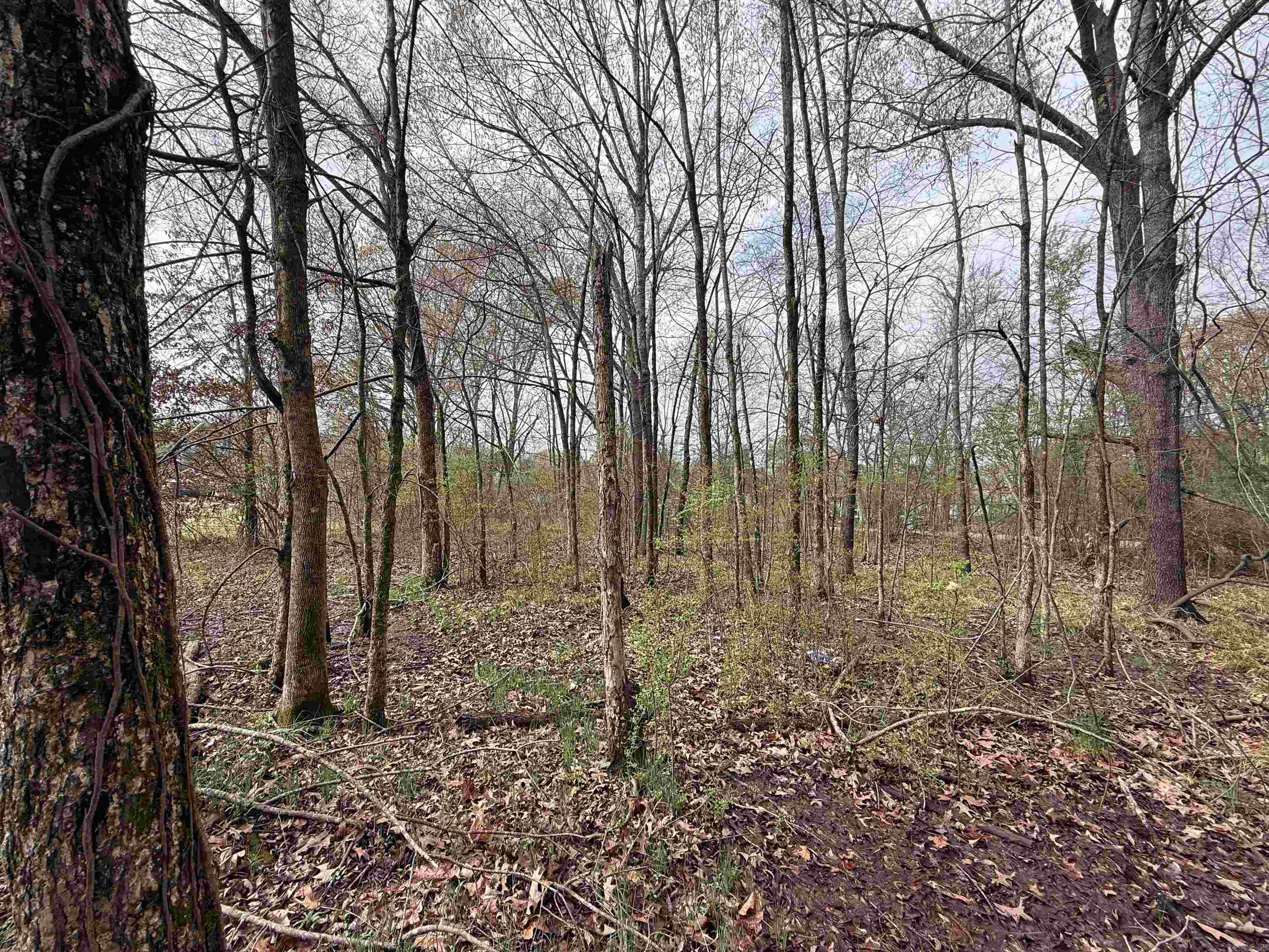 Prescott City M & B - Land