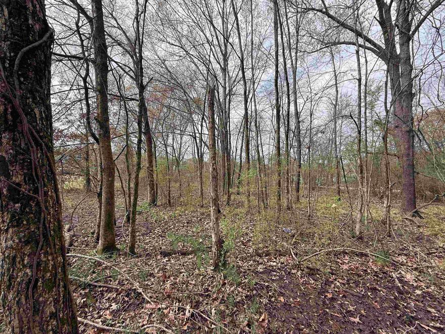 Land only. All utilities available for construction.