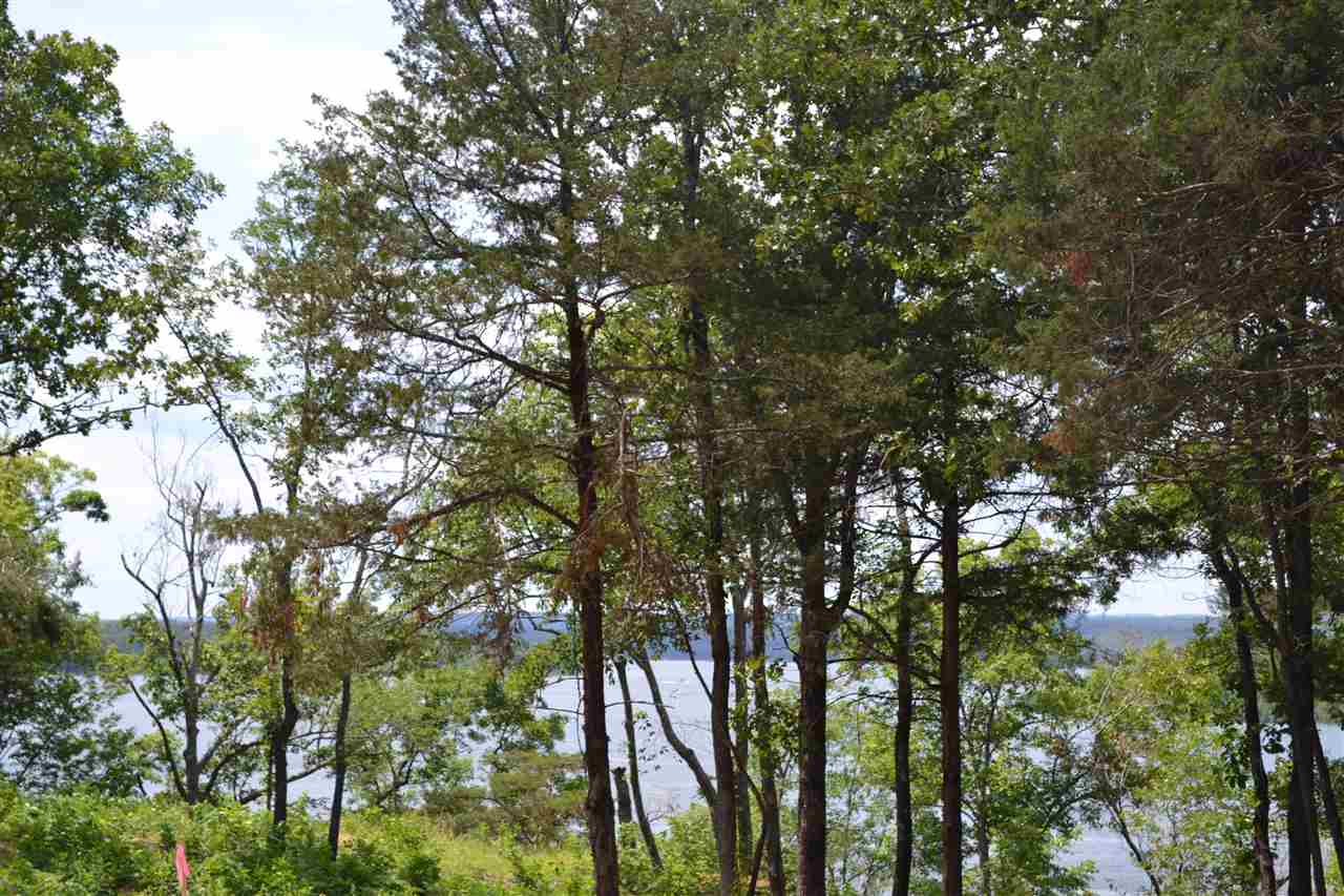 Wisdom Pointe - Land