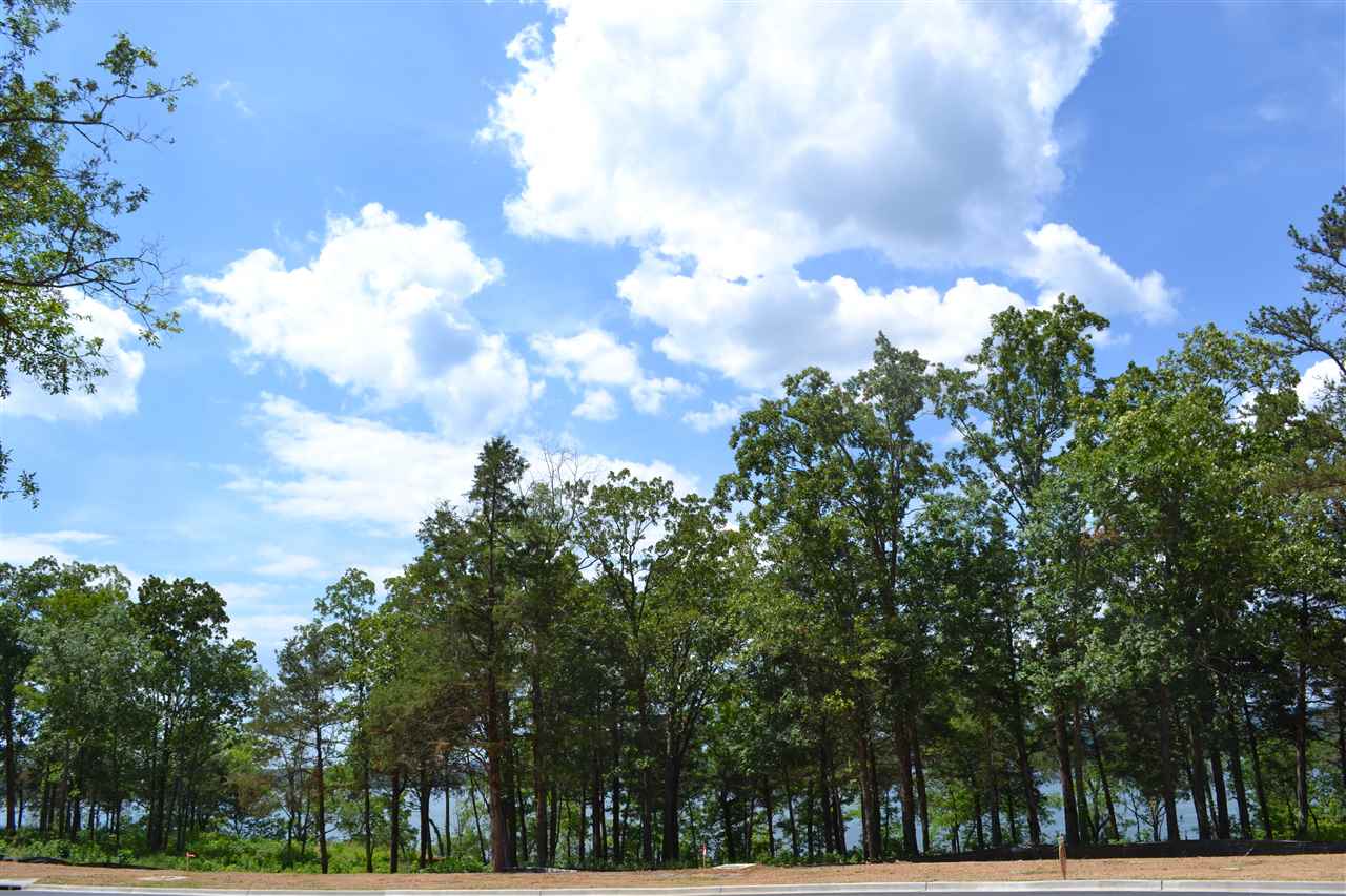Wisdom Pointe - Land