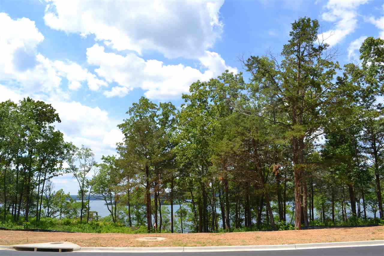 Wisdom Pointe - Land