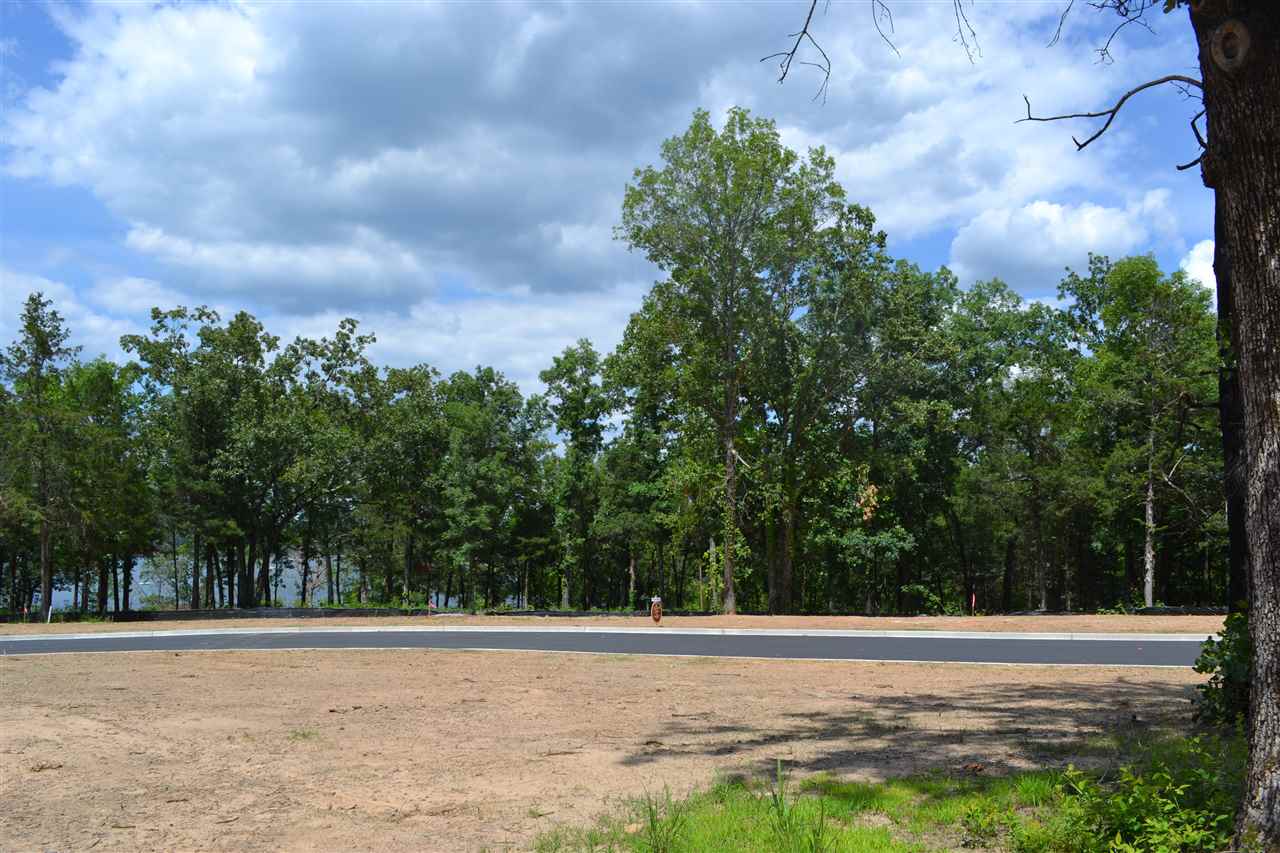 Wisdom Pointe - Land