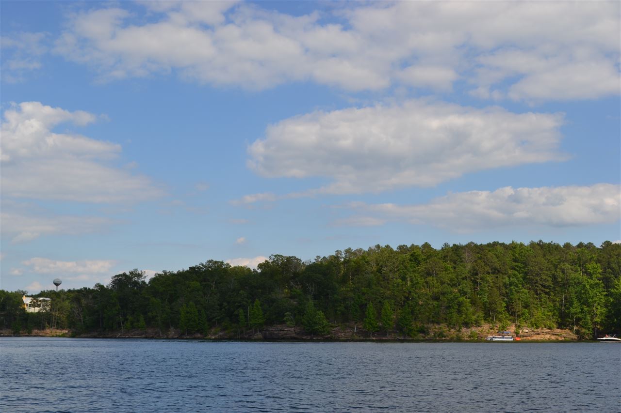 Wisdom Pointe - Land