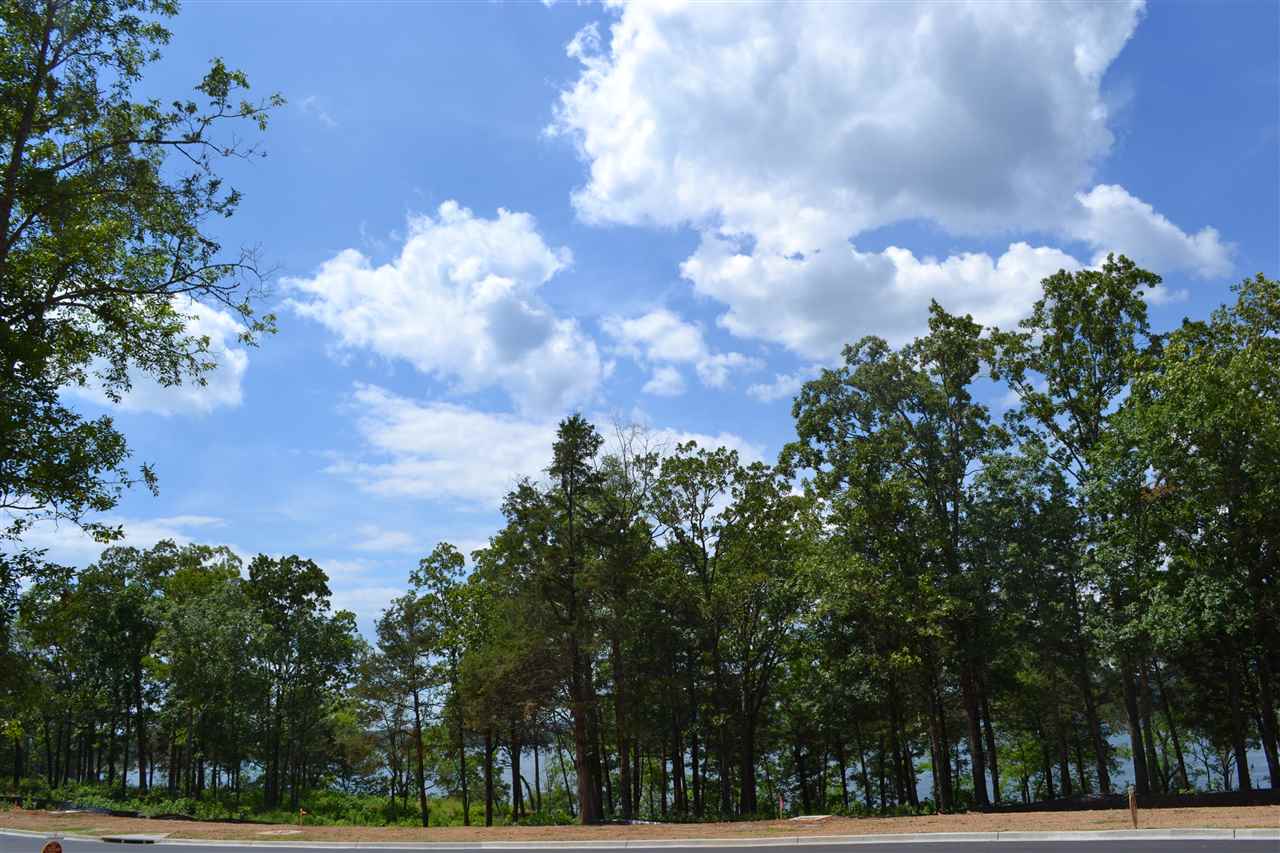 Wisdom Pointe - Land