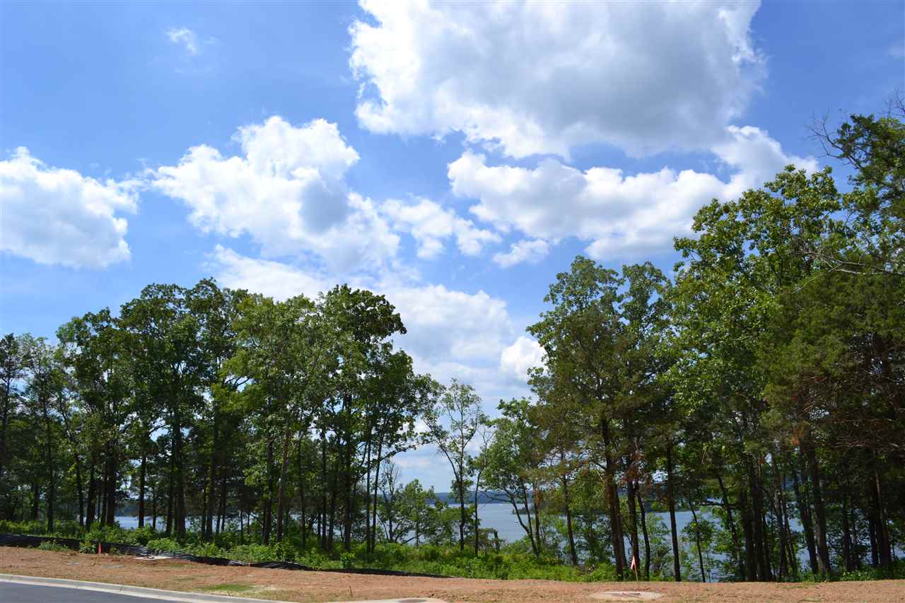 Wisdom Pointe - Land
