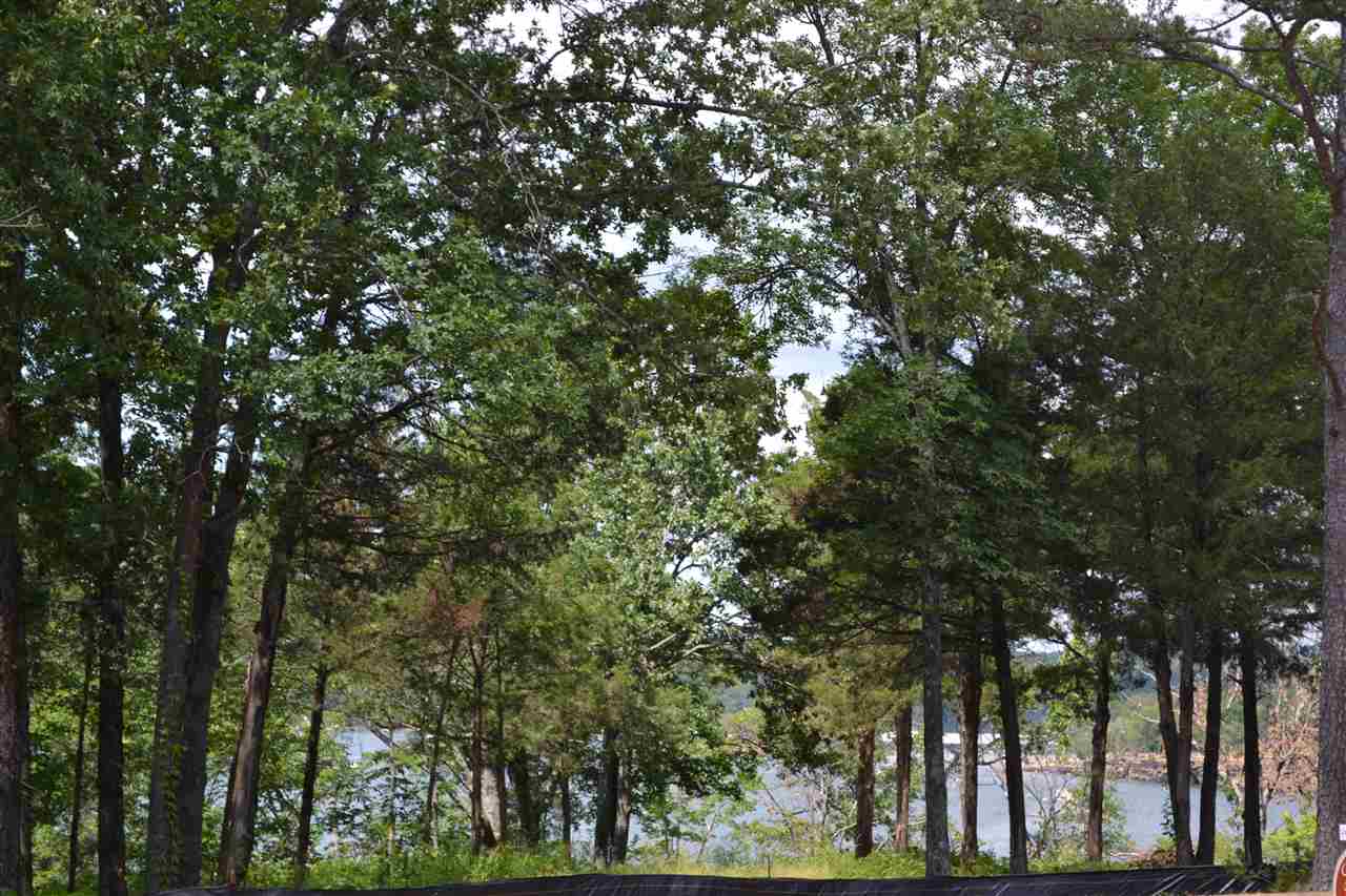 Wisdom Pointe - Land