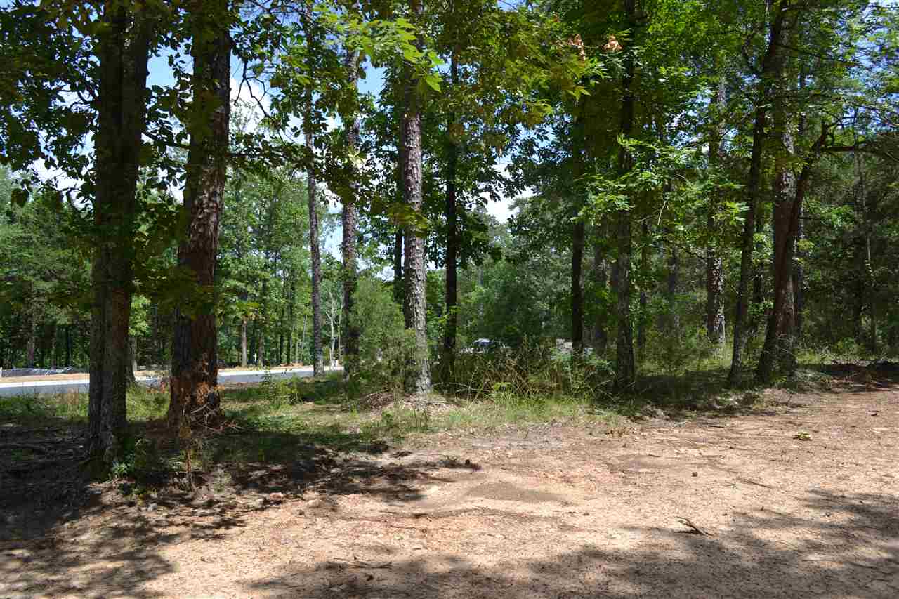 Wisdom Pointe - Land
