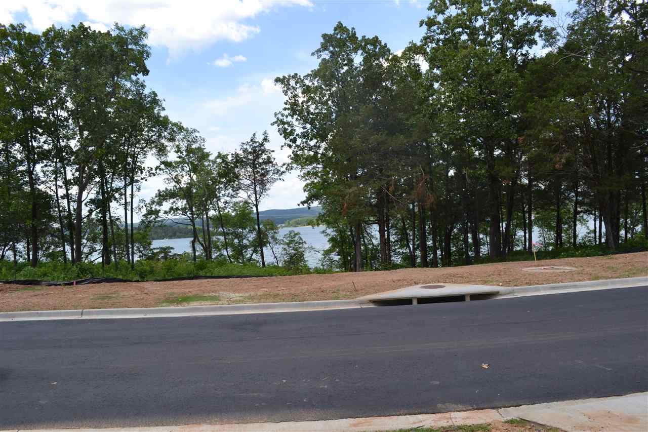 Wisdom Pointe - Land