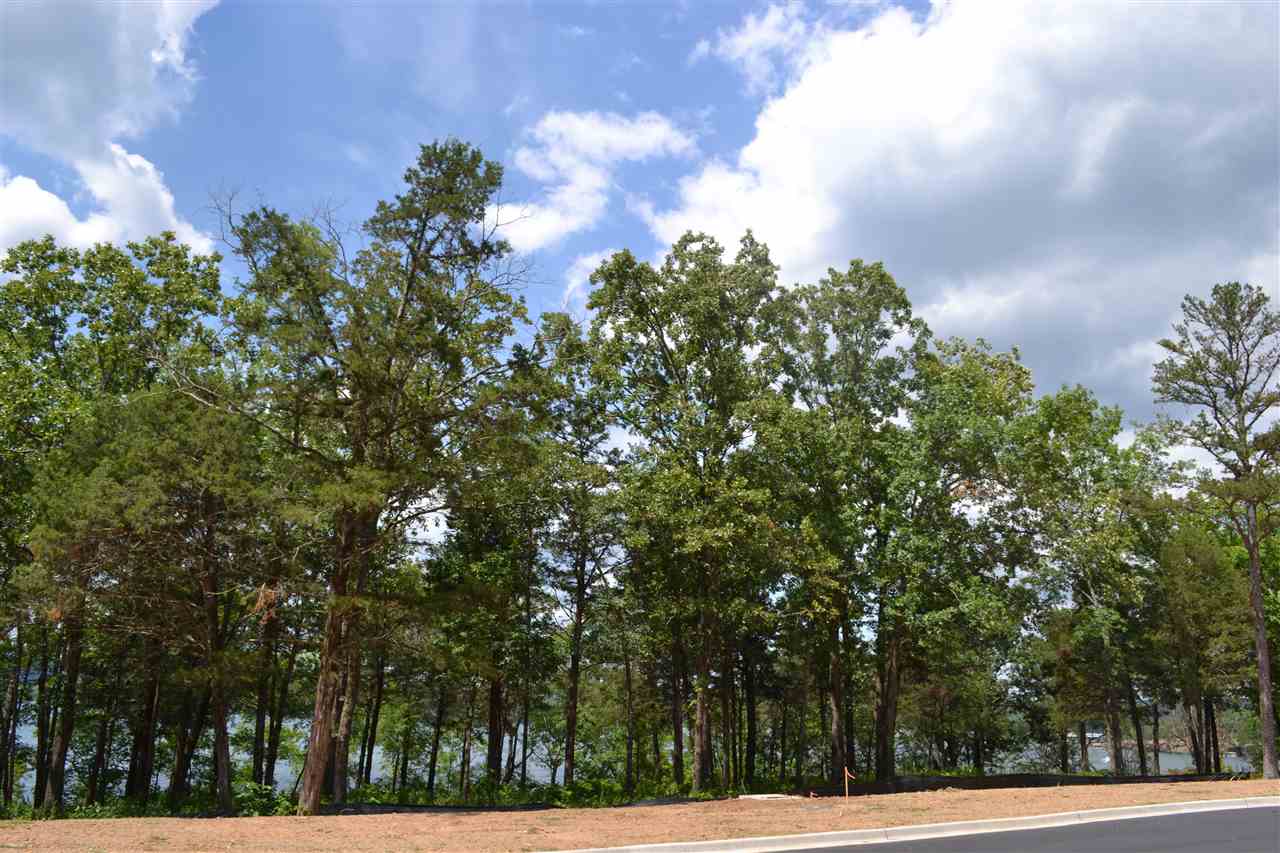 Wisdom Pointe - Land