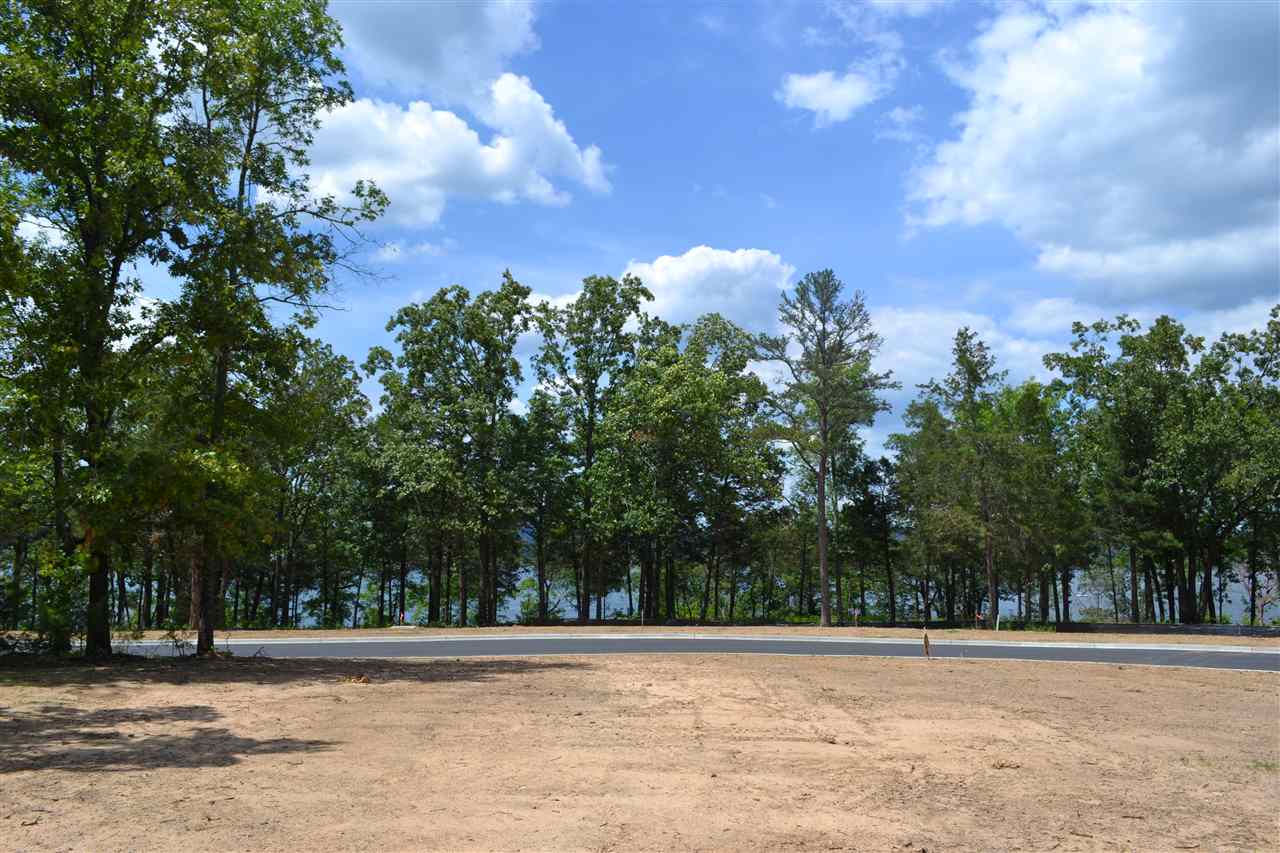 Wisdom Pointe - Land