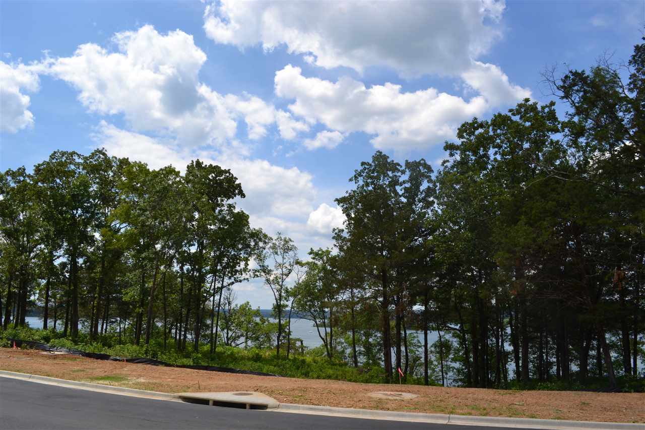 Wisdom Pointe - Land