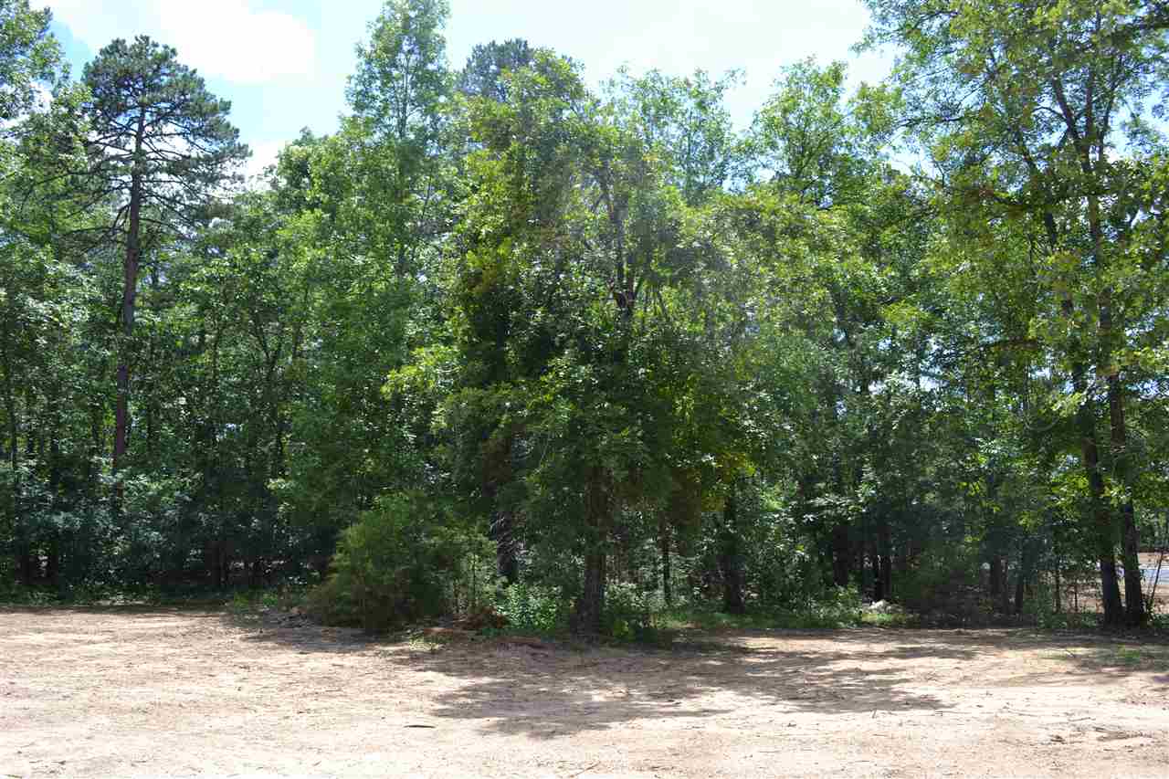 Wisdom Pointe - Land