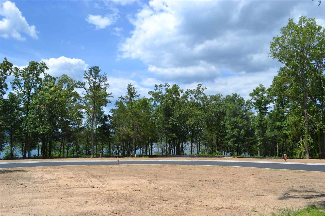 Wisdom Pointe - Land