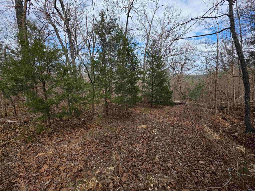 Wonderful wooded lot Woodland Hills subdivision in Hardy, Arkansas. This lot is a gently sloping hillside lot in a location near the downtown area of Hardy. Enjoy private life on a hilltop while also taking advantage of town amenities. This lot allows you access to two private lakes and private recreation areas. You can also enjoy shopping, camping, parks, and river access in town. Come see this lot and pick out the building spot for your forever home or cabin.