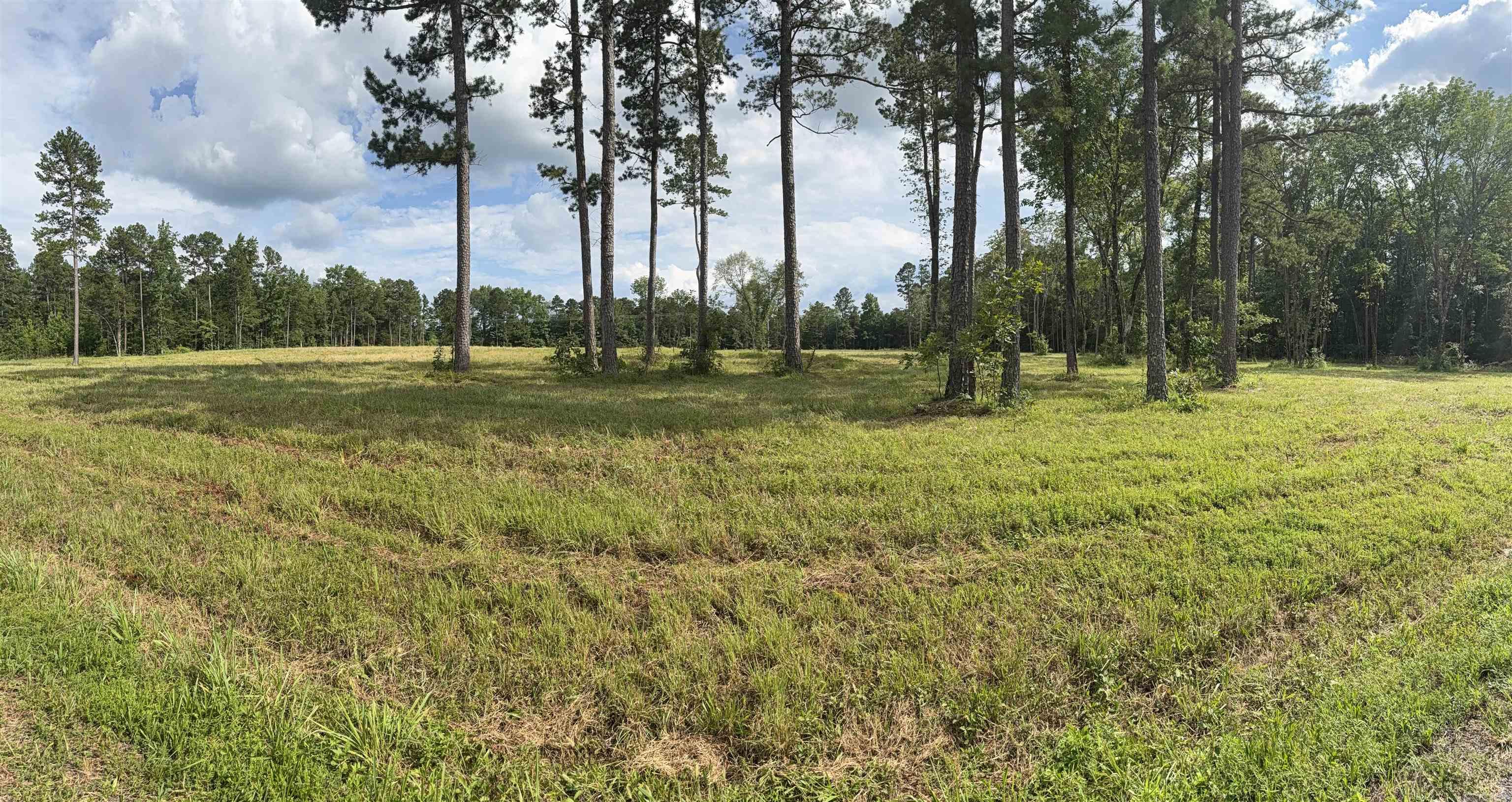 Prime acreage offering endless possibilities for development or recreation. Located in a desirable area with easy access to Quitman, this property boasts a peaceful setting ideal for building your dream home! Call today to schedule a private tour!
