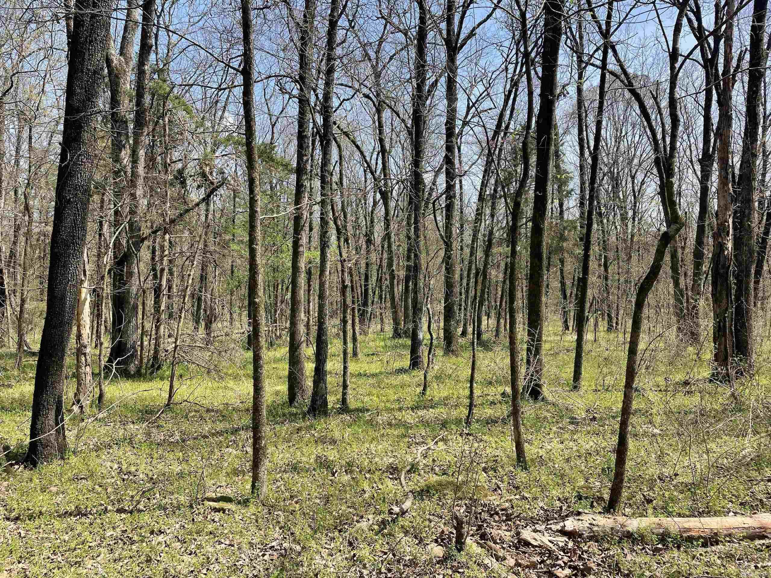 Not in Subdivision - Land