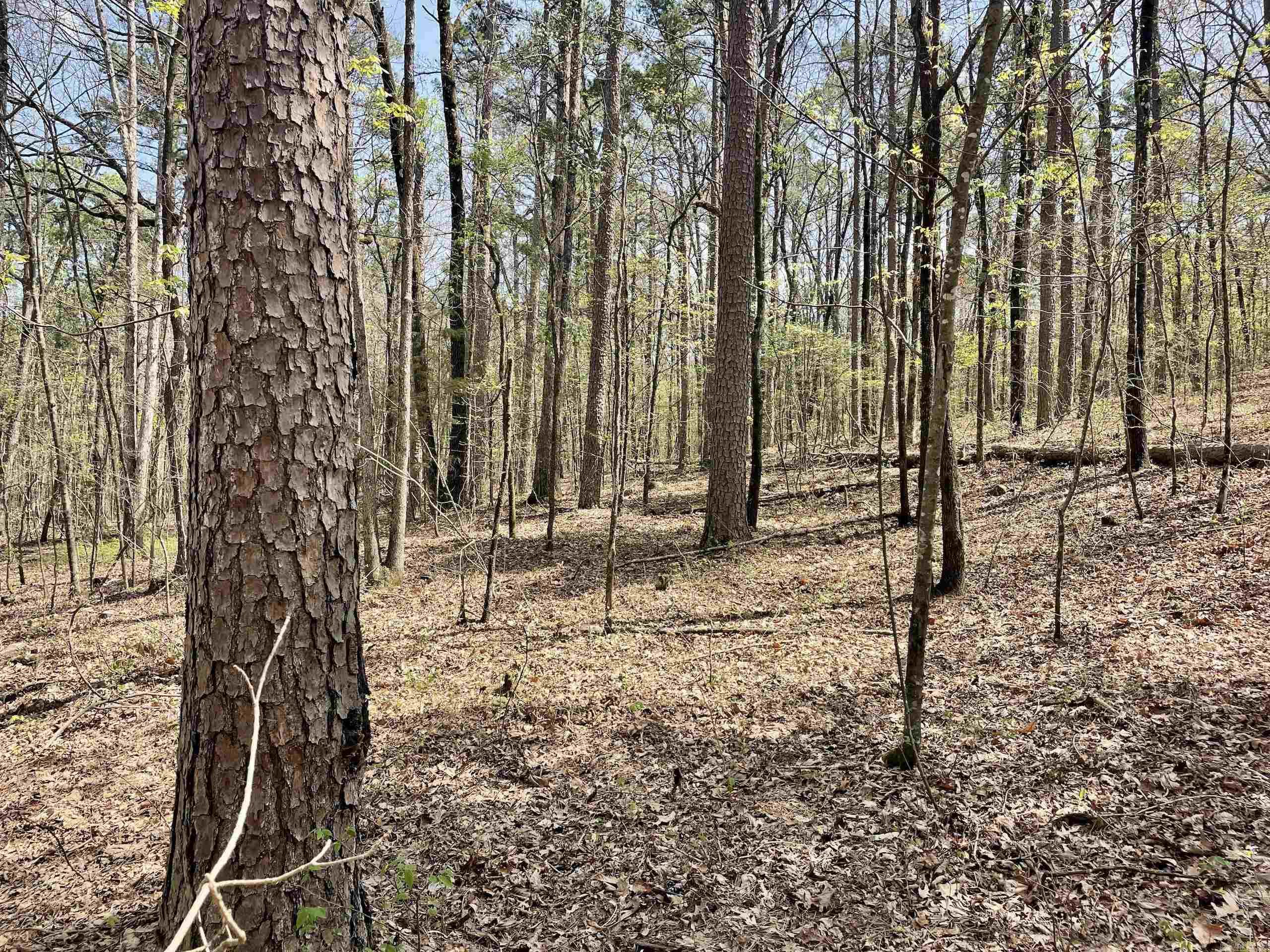 Not in Subdivision - Land