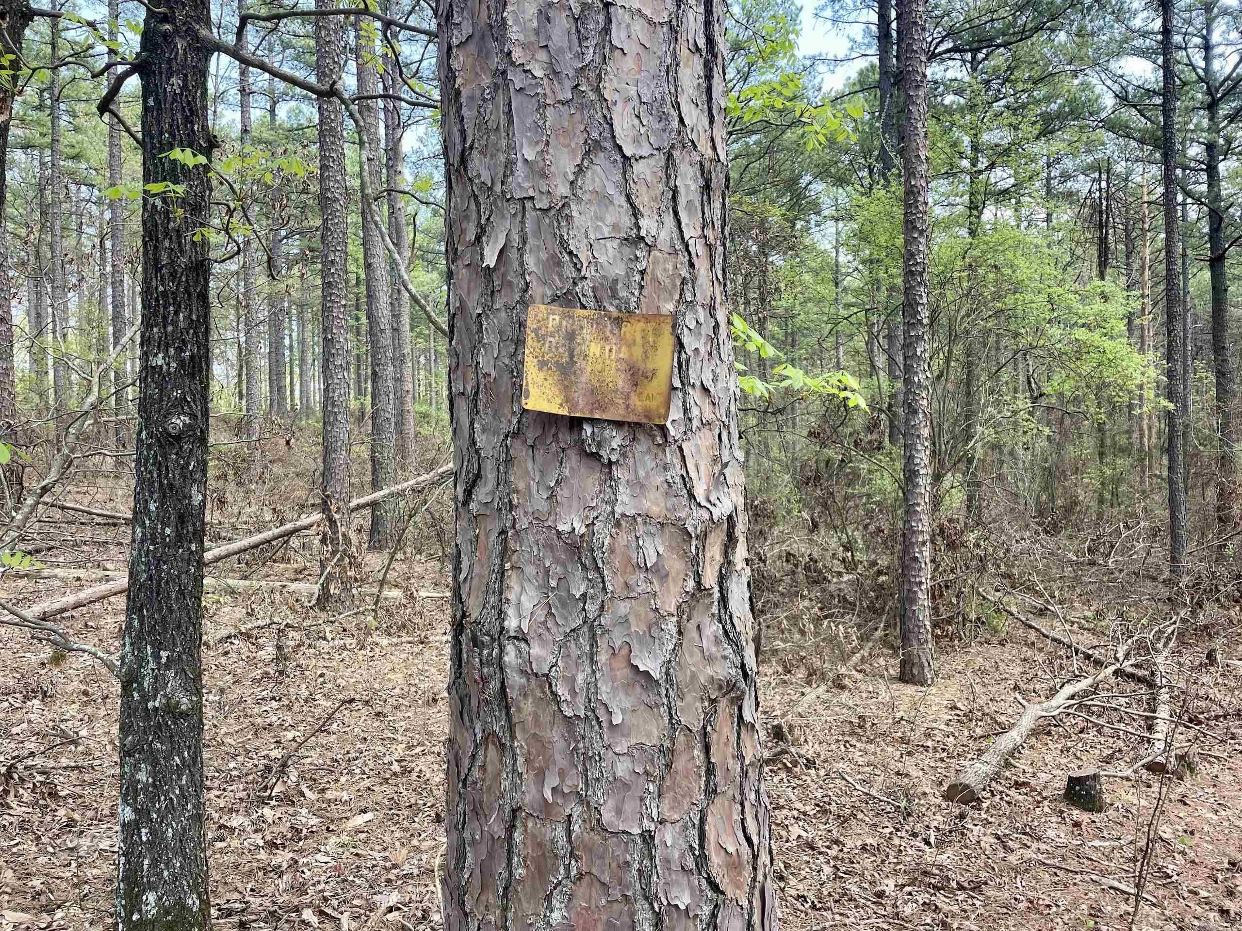 Not in Subdivision - Land