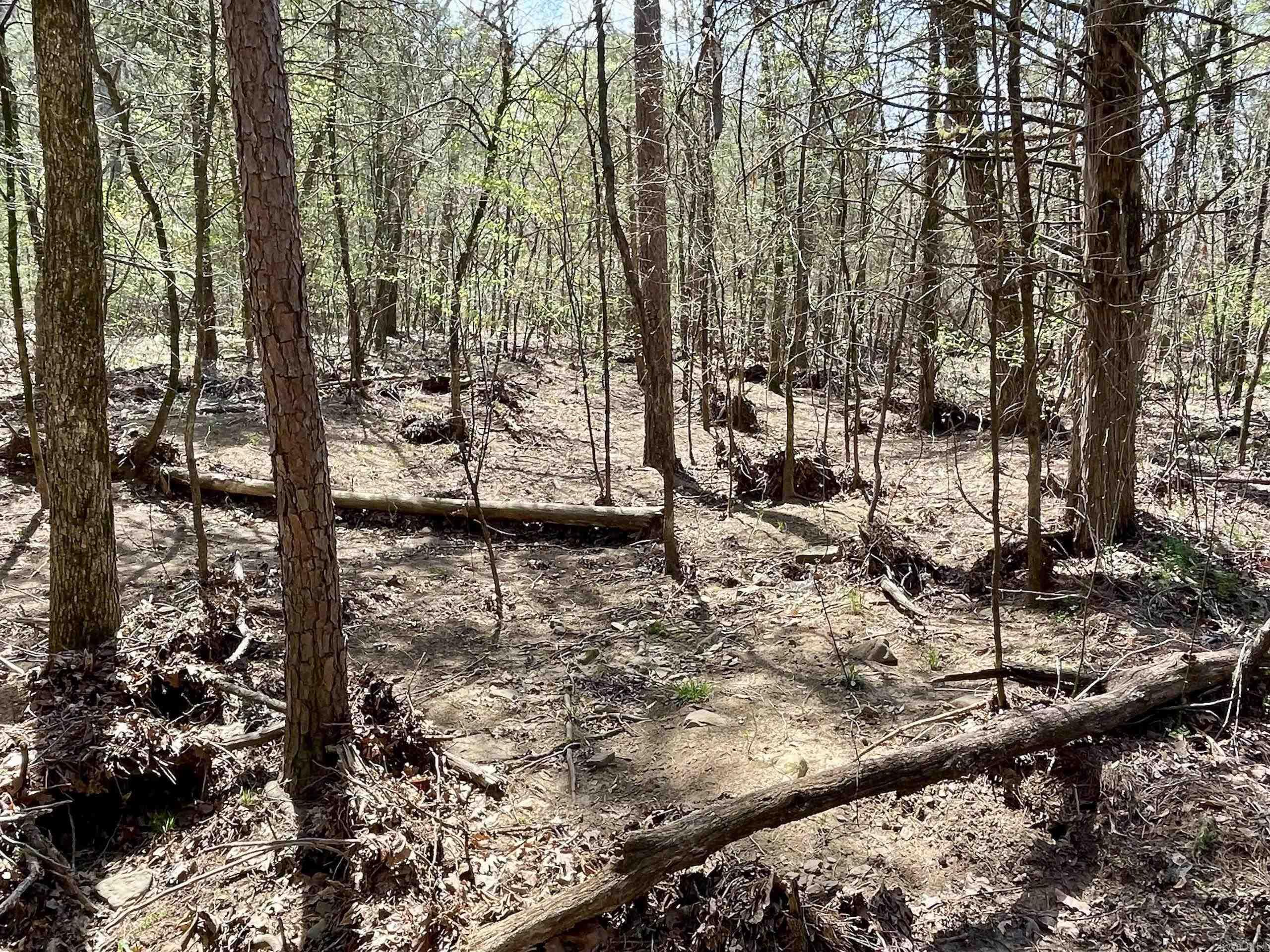 Not in Subdivision - Land