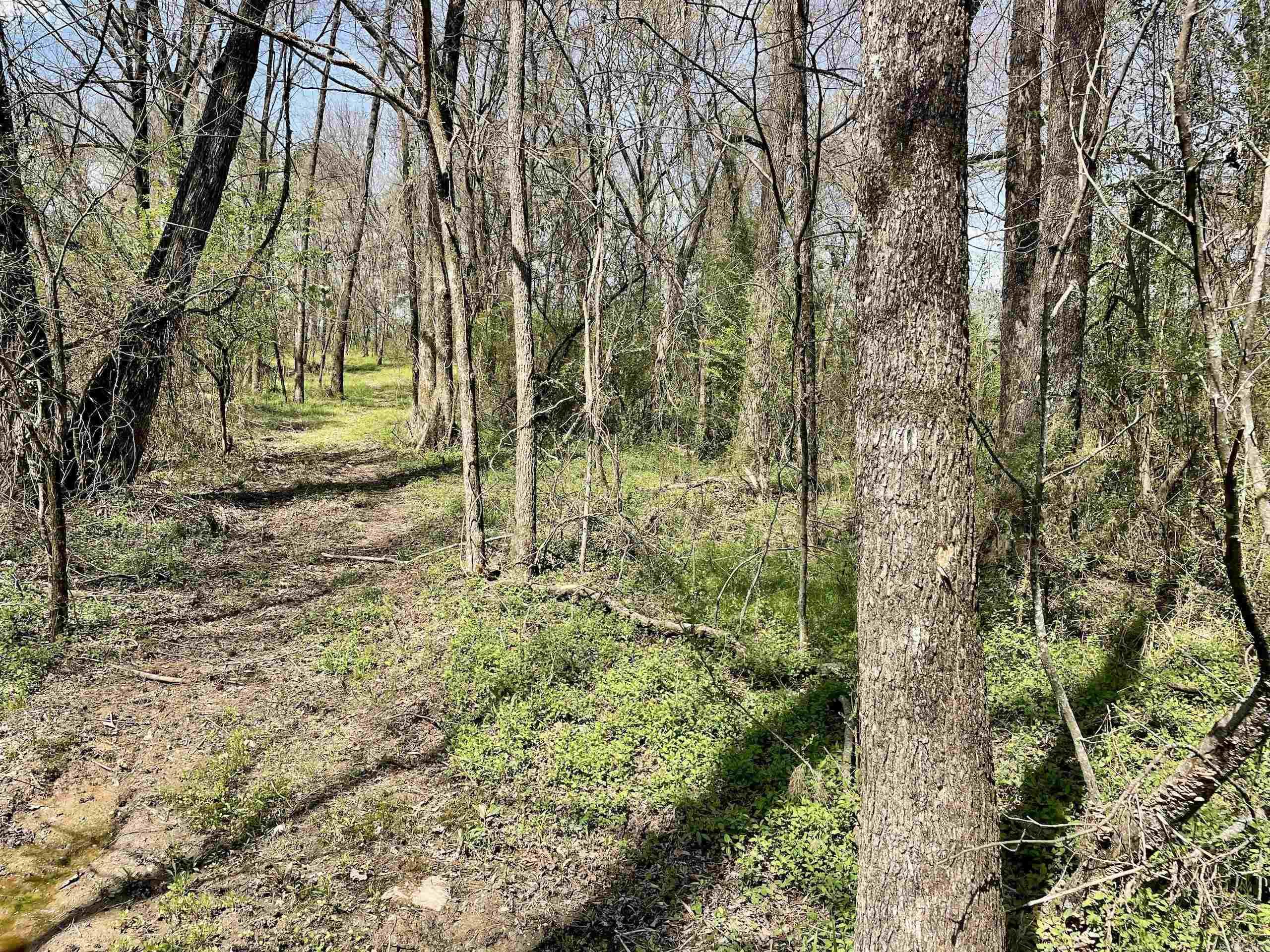 Not in Subdivision - Land