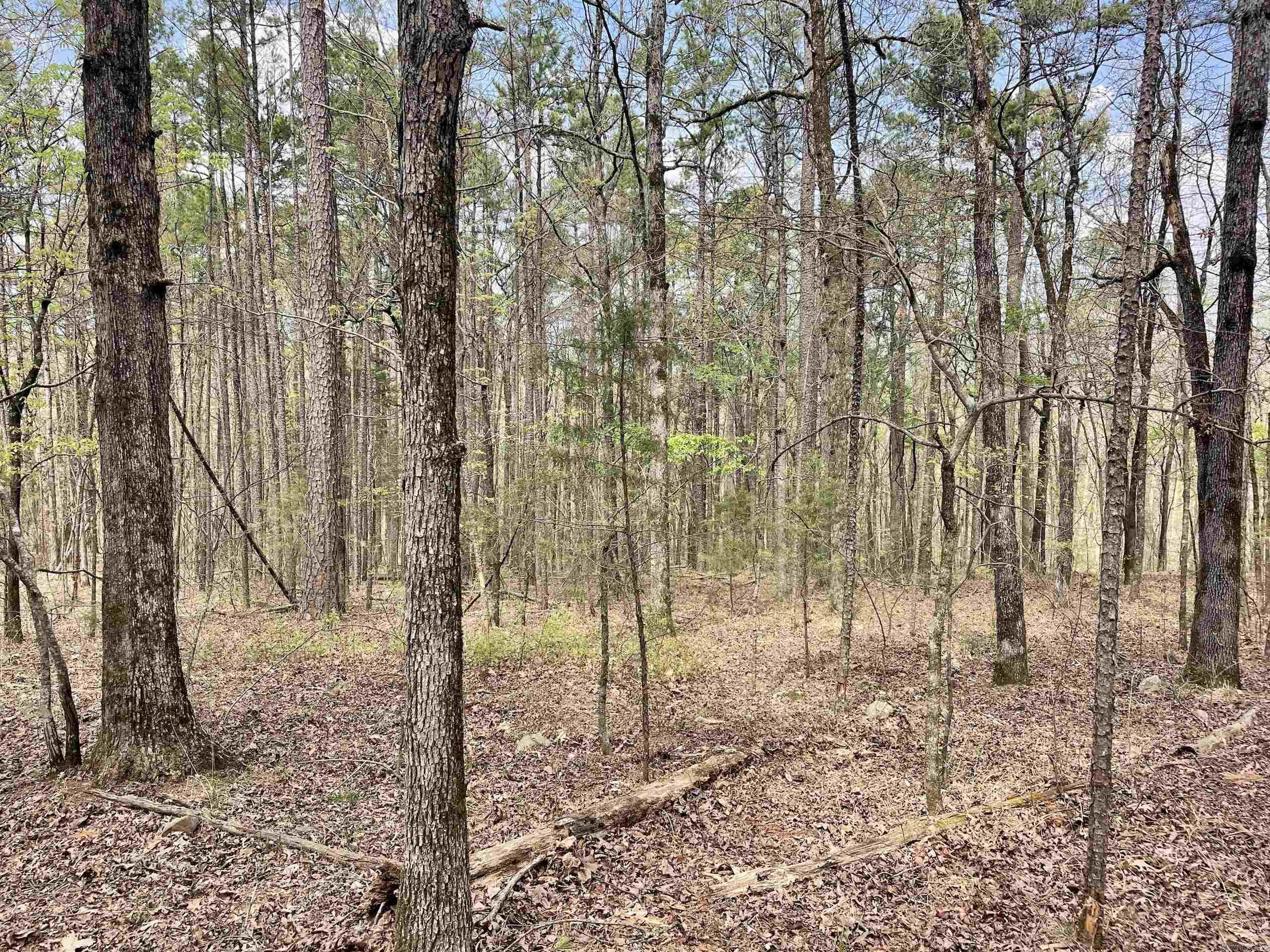 Not in Subdivision - Land