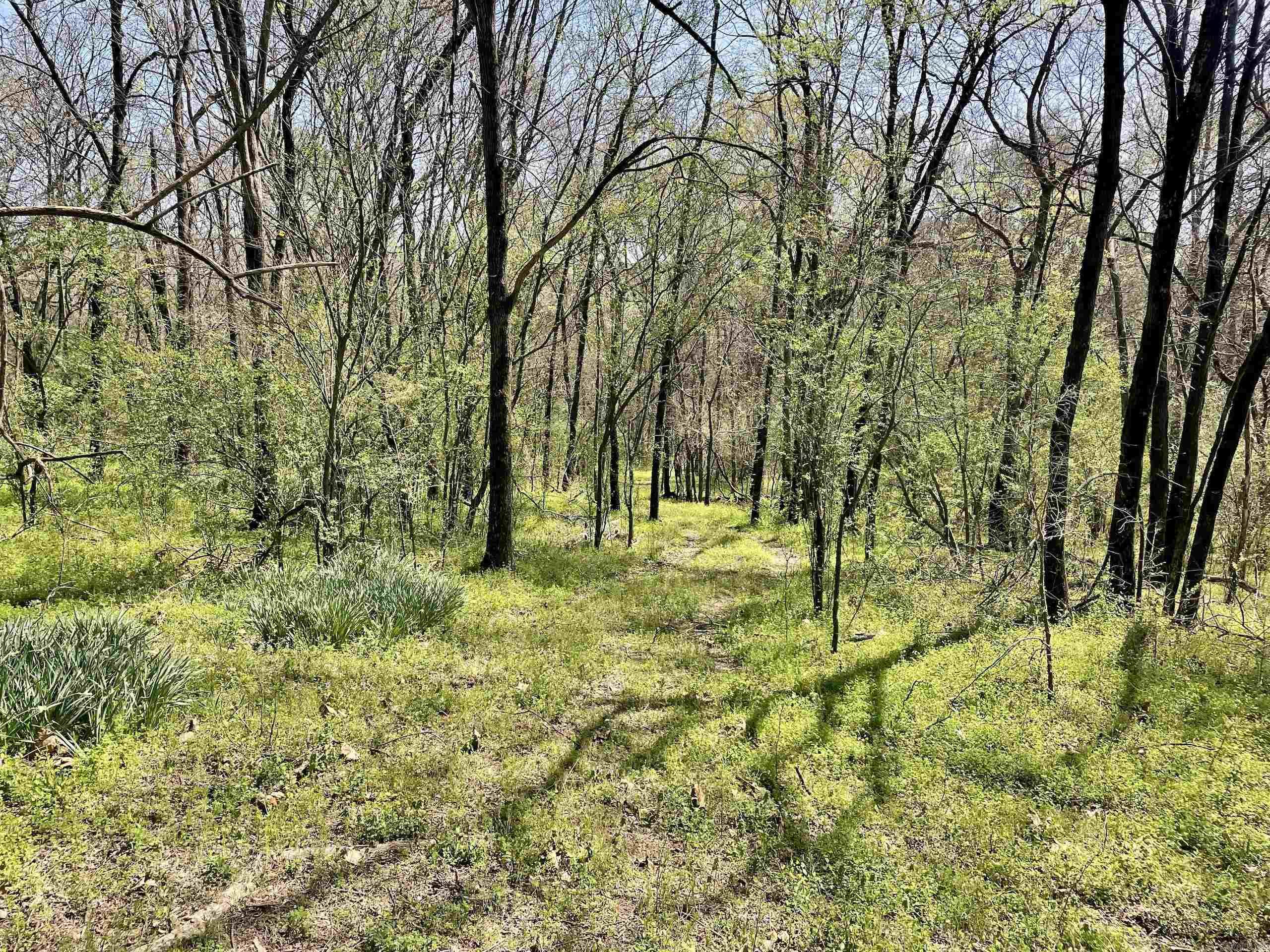 Not in Subdivision - Land