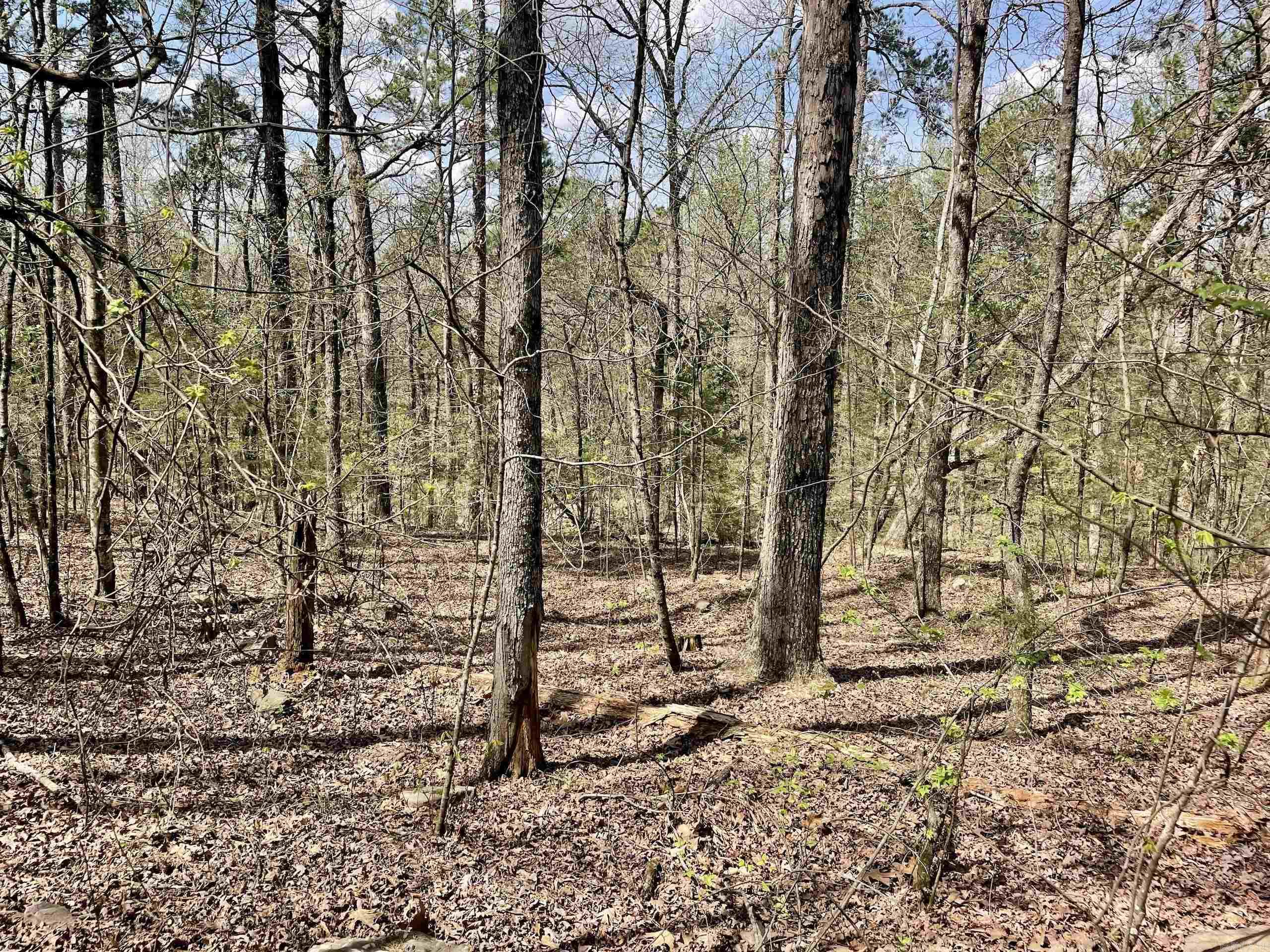 Not in Subdivision - Land