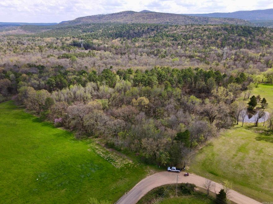 Bordering the US Forest Service for nearly 1/2 mile, this exceptional property offers stunning views of Mount Magazine State Park and is the perfect home site or recreational retreat. Towering mature timber—including Pine, Oak, Hickory, and Cedar—creates an ideal wildlife habitat, attracting deer, turkey, and bear. A year-round creek adds natural beauty and a vital water source for wildlife, making this property a haven for outdoor enthusiasts. Enjoy direct access to thousands of acres of US Forest Service land, providing unlimited hunting, hiking, and adventure. Just a short drive away, Blue Mountain Lake is renowned for its excellent fishing and water recreation. Several prime building sites offer endless possibilities, with a cozy shelter cabin already in place. Plus, electricity, rural water, and high-speed internet are available at the county road, making this property both private and conveniently accessible. Don't miss this rare opportunity to own a piece of paradise in the heart of the Ozarks!