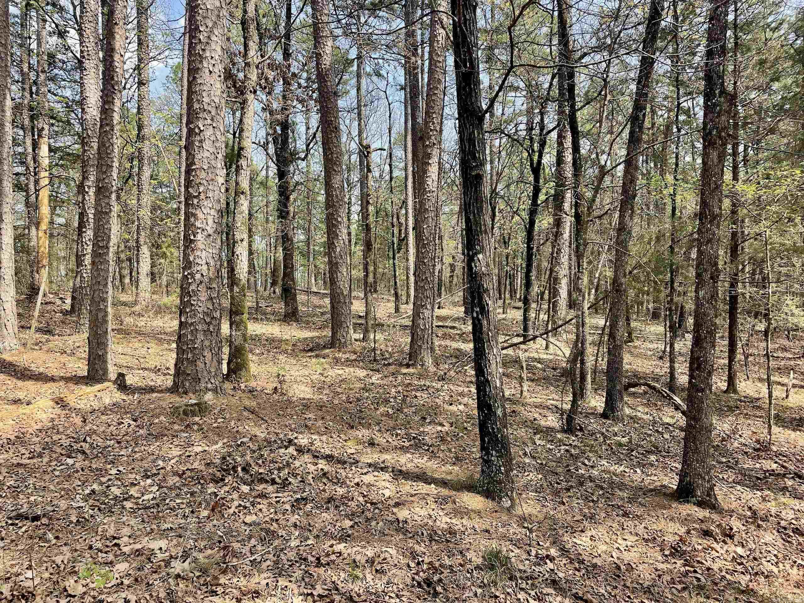 Not in Subdivision - Land