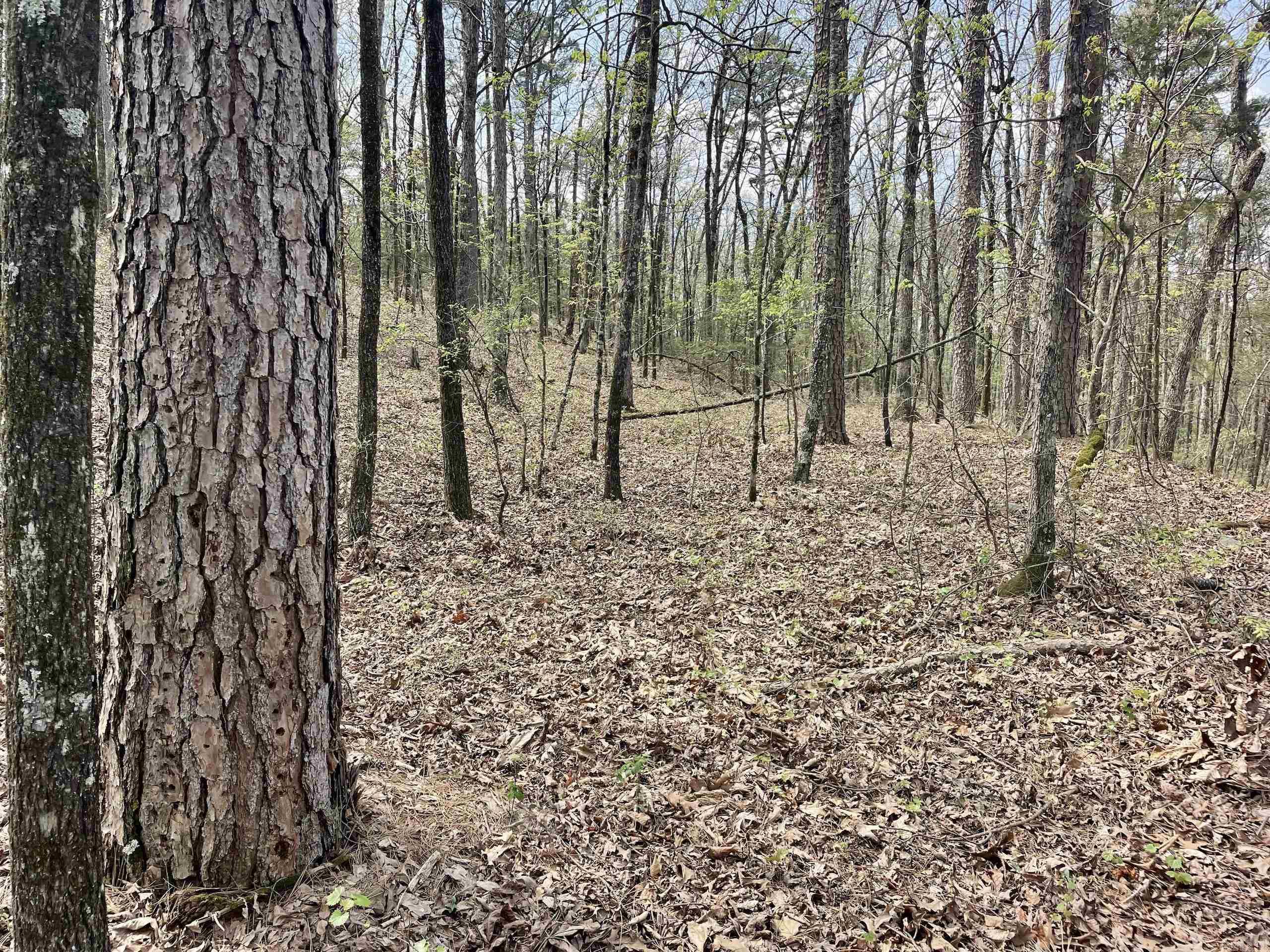 Not in Subdivision - Land