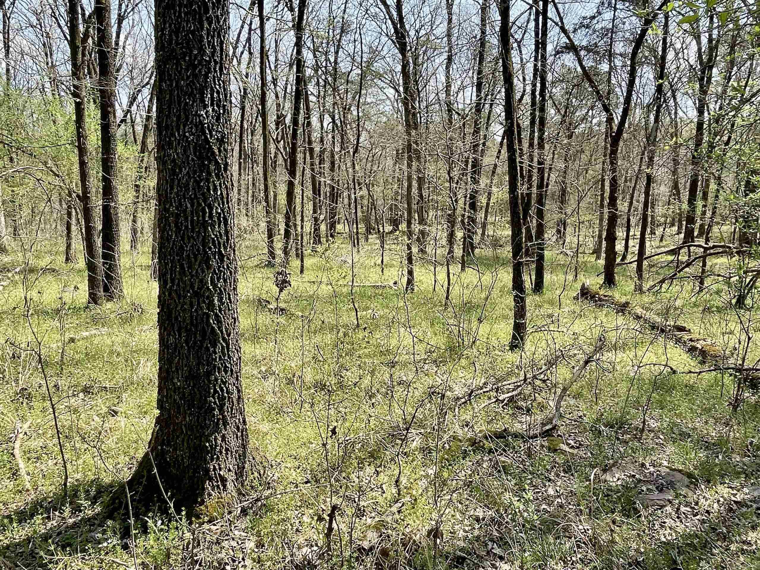 Not in Subdivision - Land