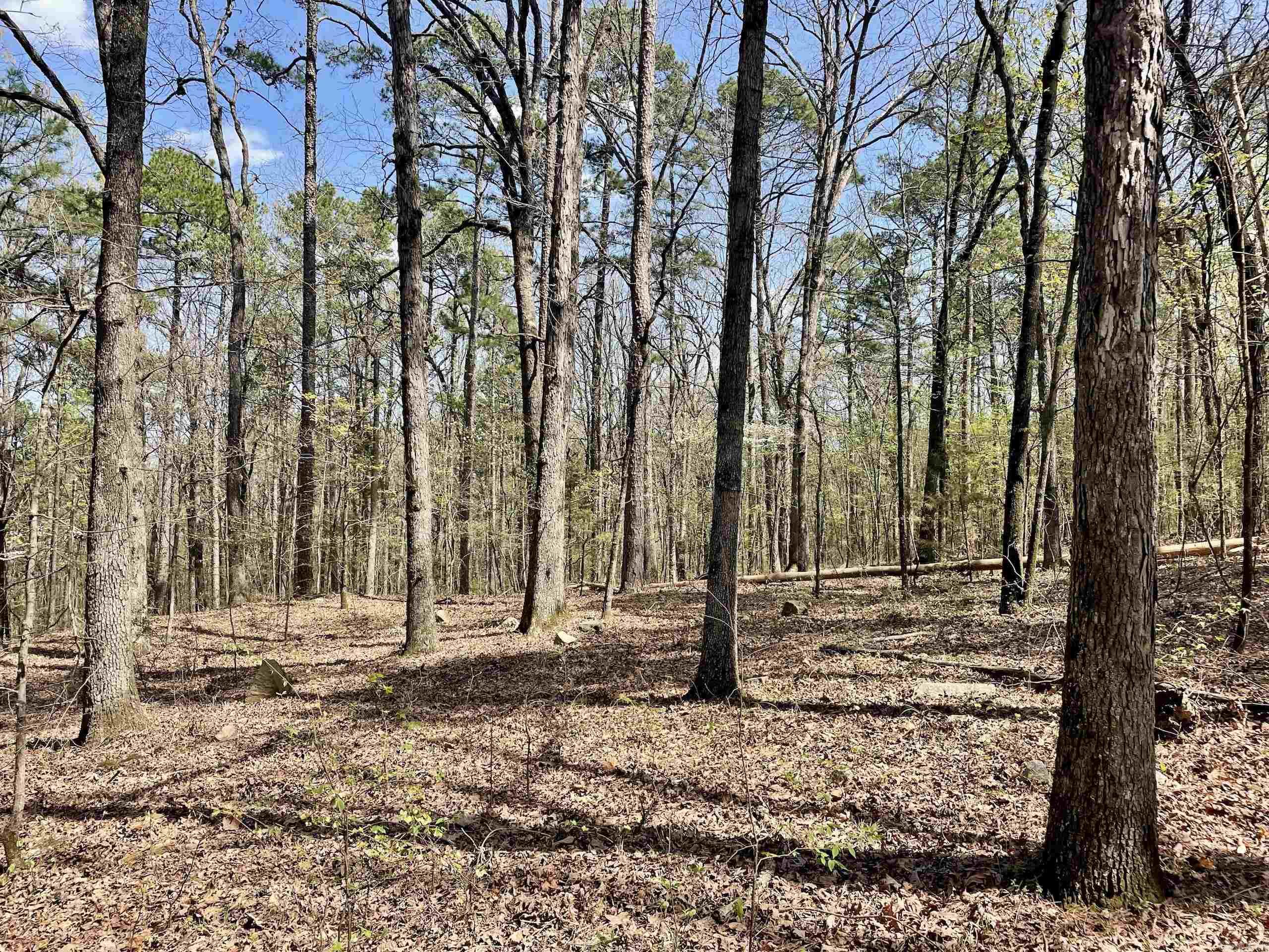 Not in Subdivision - Land