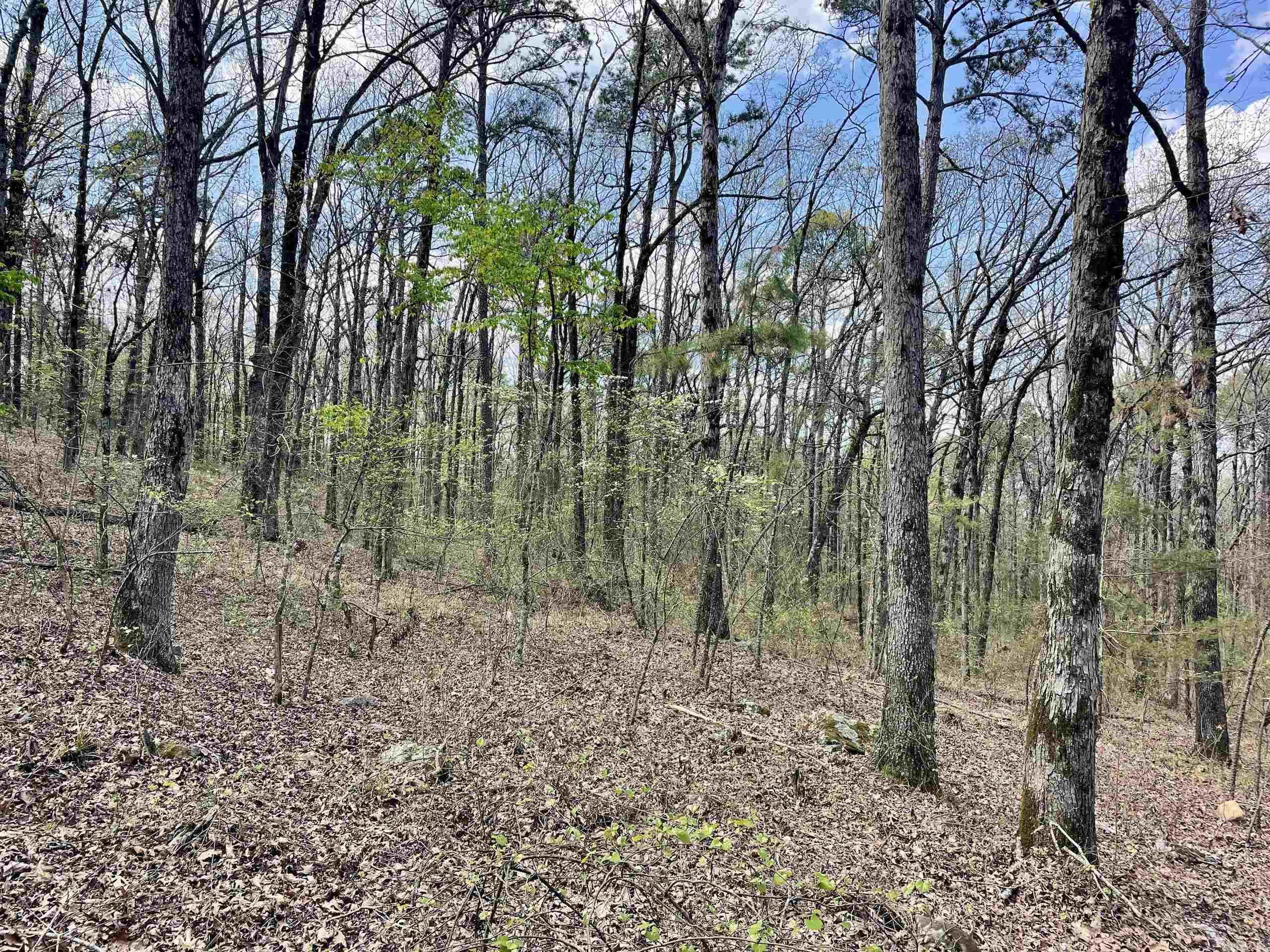 Not in Subdivision - Land