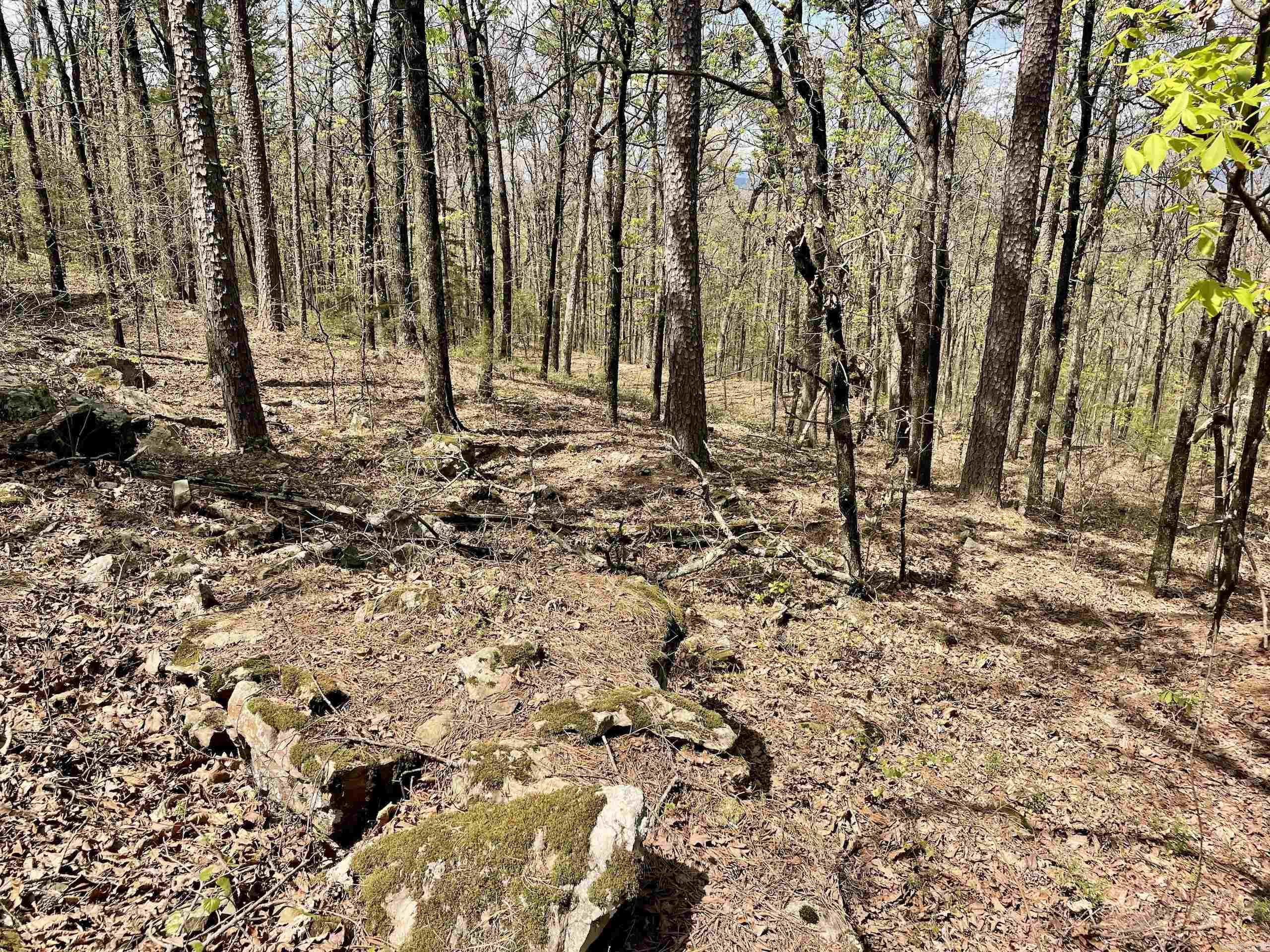 Not in Subdivision - Land