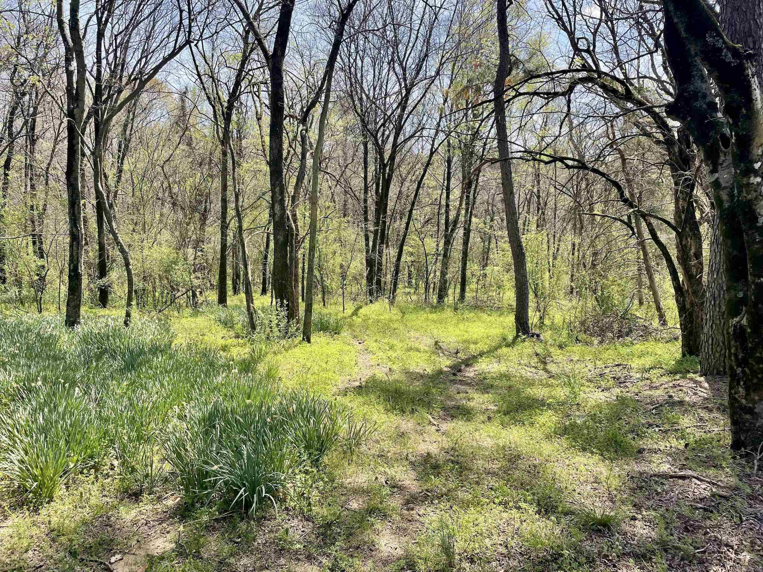 Not in Subdivision - Land