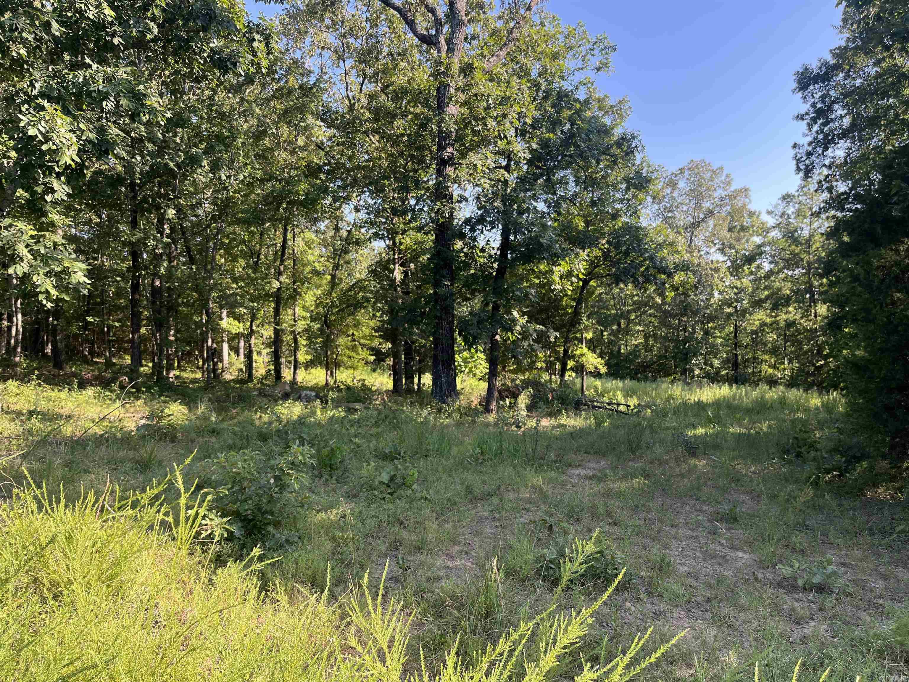 Check out this awesome property! Has a clearing in the middle of it and has already had a perk test on it. Comes with 4.53 acres to build your dream home on! Lake is just across the street! Just a 4 min drive to Hill Creek Marina!