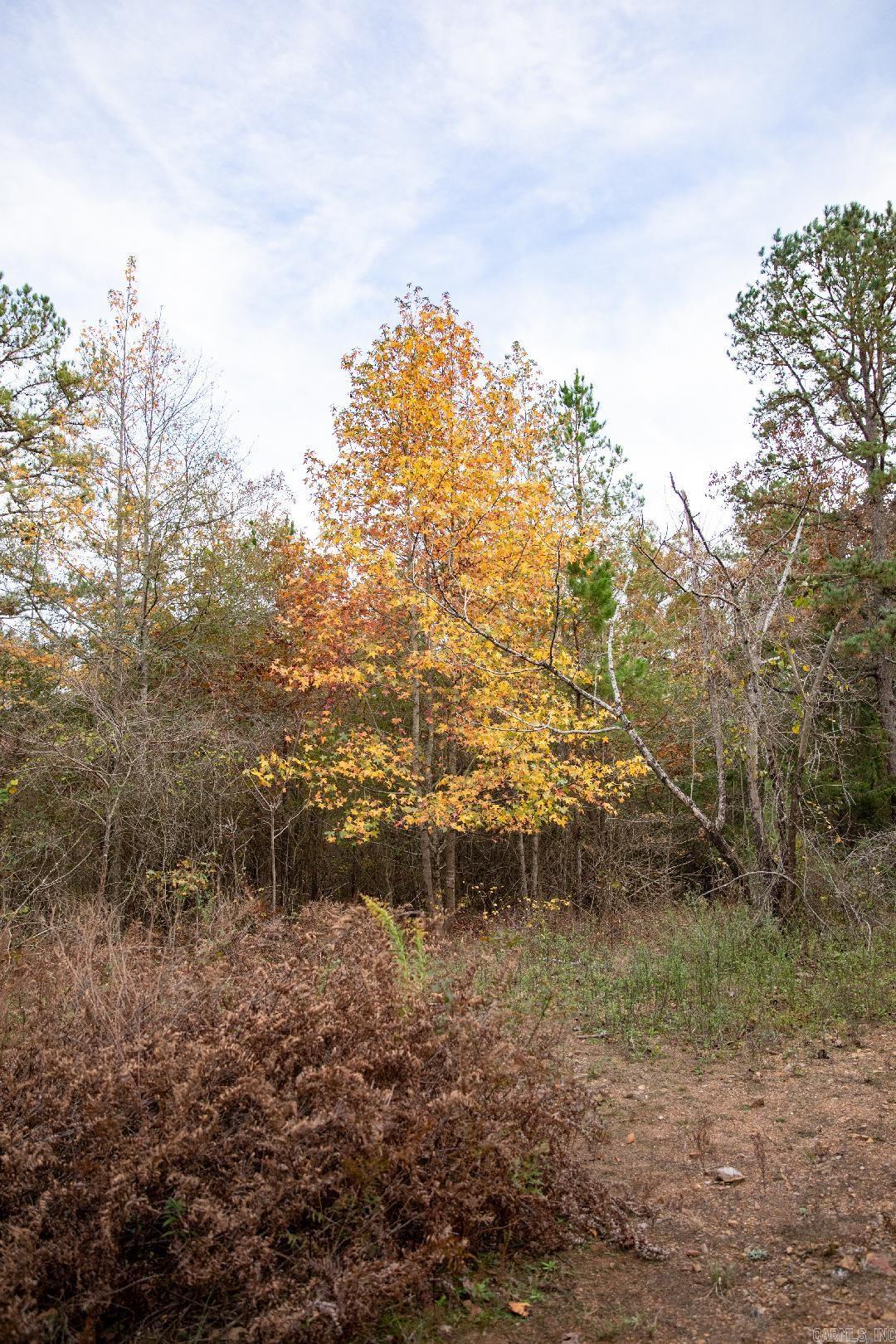 Not in Subdivision - Land