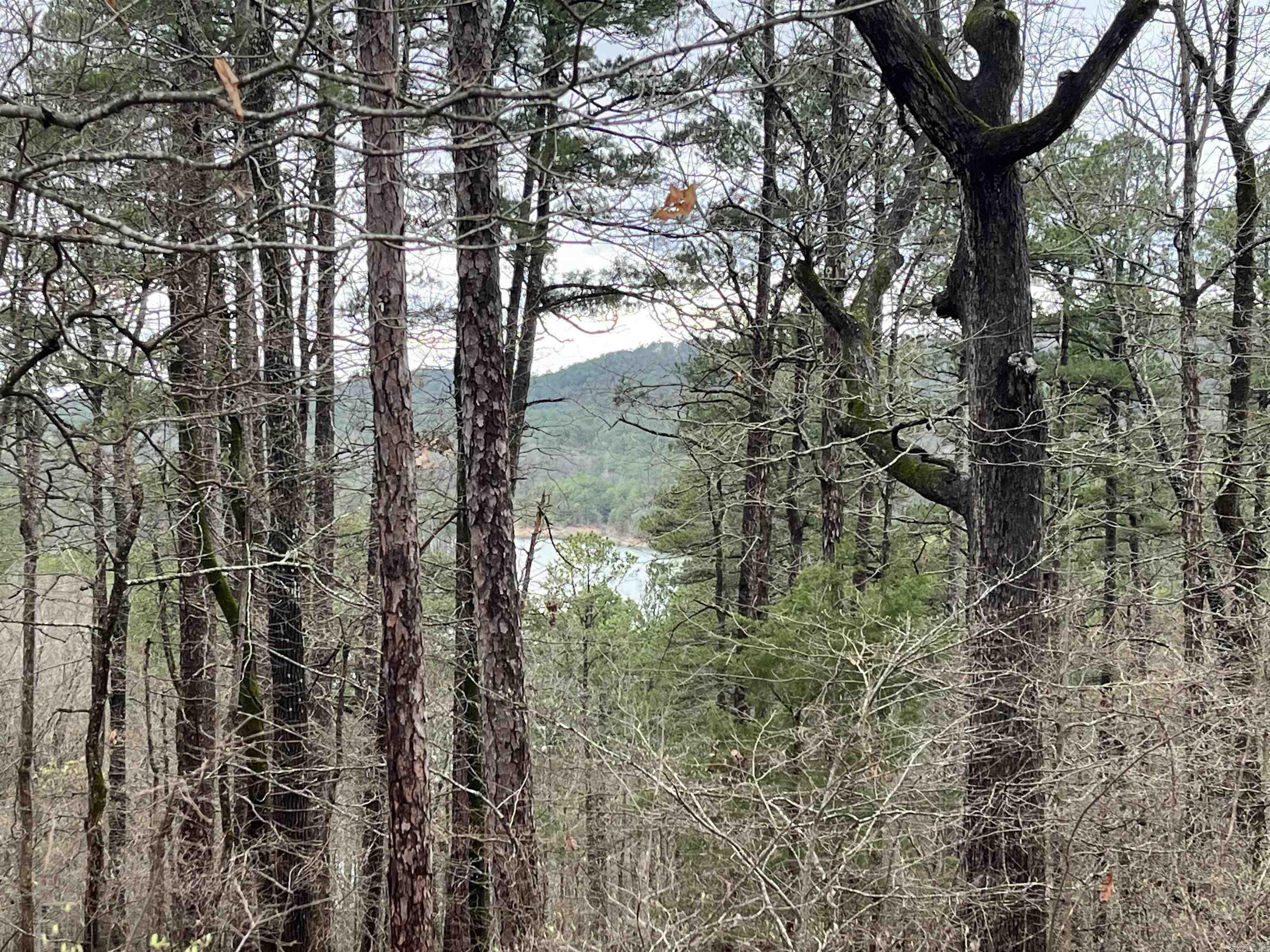 Located in our Hot Springs Village, this buildable, downward sloped lot has great mountain and lake views. From atop this lot, you can see Lake Largo, which is one of 11 lakes 9 professionally designed golf courses for year-round golfing, miles of walking, riding, and hiking trails in North America's largest gated community. I can introduce you to the top builders in the Village to build your dream home, vacation rental or second home. Come experience paradise and live the life you love!