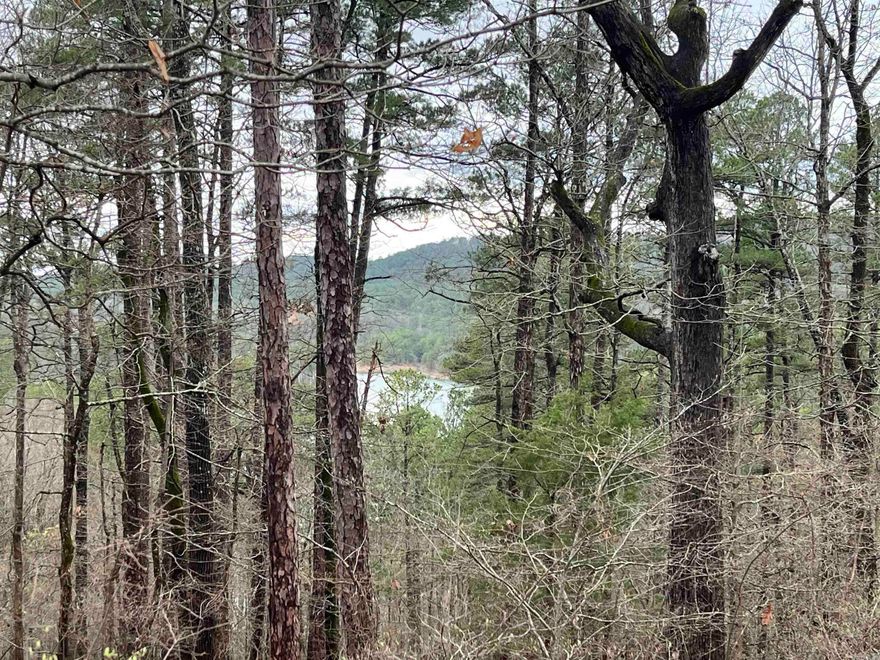 Located in our Hot Springs Village, this buildable, downward sloped lot has great mountain and lake views. From atop this lot, you can see Lake Largo, which is one of 11 lakes 9 professionally designed golf courses for year-round golfing, miles of walking, riding, and hiking trails in North America's largest gated community. I can introduce you to the top builders in the Village to build your dream home, vacation rental or second home. Come experience paradise and live the life you love!