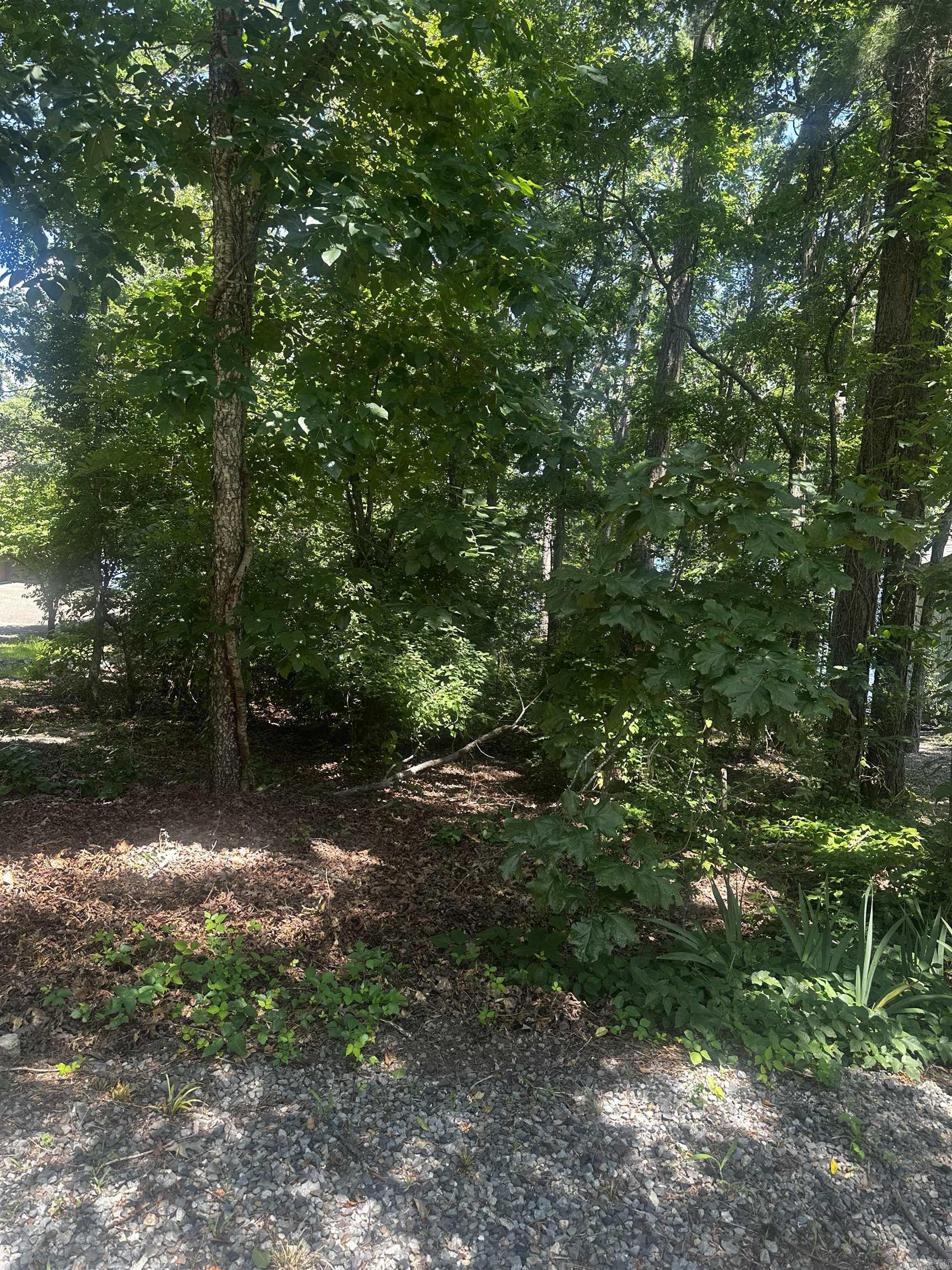 Prime Opportunity Near Granada Golf Course! Located in the sought-after Granada golf course neighborhood, this beautifully wooded ?-acre lot offers the perfect blend of natural tranquility and upscale living. Whether you’re dreaming of building your forever home or a relaxing retreat, this lot makes it easy to turn your vision into reality. • Generous ?-acre lot with a scenic wooded setting Peaceful neighborhood nestled among rolling fairways and elegant homes Easy access to Granada Golf Course, one of Hot Springs Village’s premier courses Close to lakes, trails, and all Village amenities Enjoy privacy, nature, and community—without sacrificing convenience Start your next chapter surrounded by beauty, charm, and the best of Hot Springs Village living. This is more than a lot—it’s your launching pad for life at the top of the leaderboard.