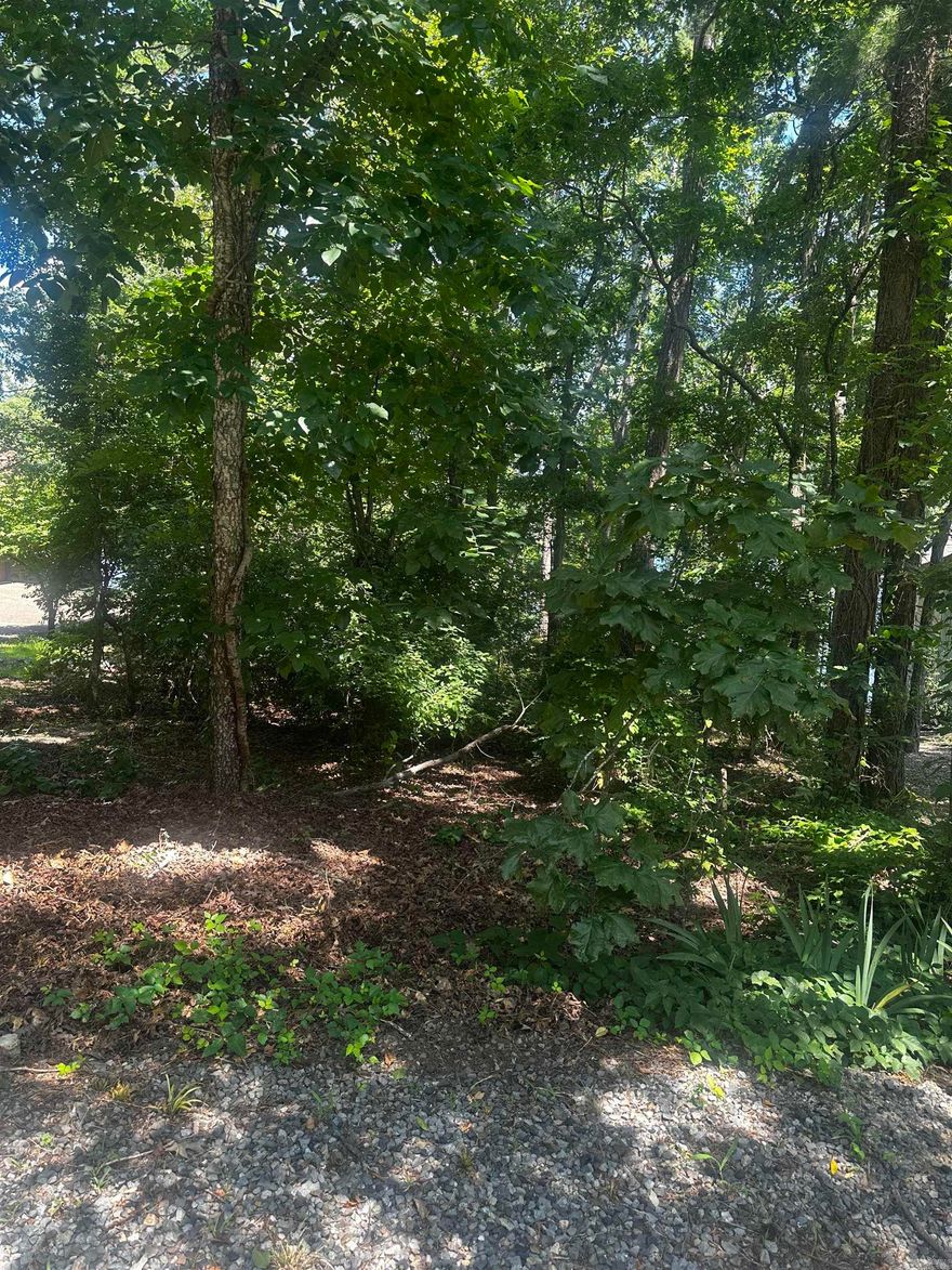 Prime Opportunity Near Granada Golf Course!  Located in the sought-after Granada golf course neighborhood, this beautifully wooded ?-acre lot offers the perfect blend of natural tranquility and upscale living. Whether you’re dreaming of building your forever home or a relaxing retreat, this lot makes it easy to turn your vision into reality. • Generous ?-acre lot with a scenic wooded setting Peaceful neighborhood nestled among rolling fairways and elegant homes Easy access to Granada Golf Course, one of Hot Springs Village’s premier courses Close to lakes, trails, and all Village amenities Enjoy privacy, nature, and community—without sacrificing convenience Start your next chapter surrounded by beauty, charm, and the best of Hot Springs Village living. This is more than a lot—it’s your launching pad for life at the top of the leaderboard.