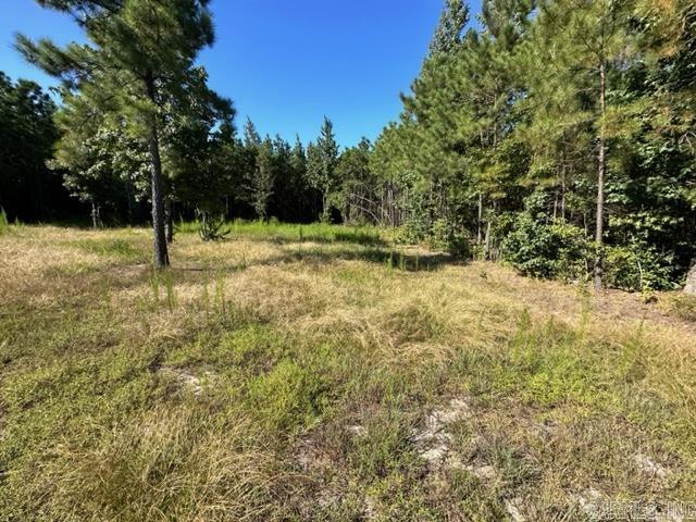 LEE MILL ESTATES - Residential