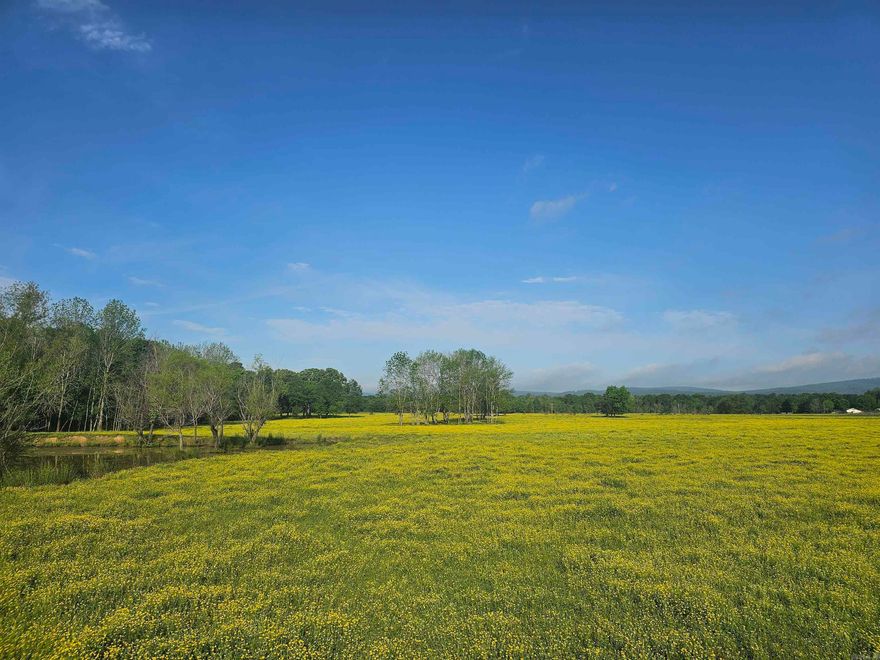 160 acres mix of beautiful pasture/wooded acreage. Currently used to run cows. Multiple ponds. Multiple wells. Fully fenced. Pole barn for hay storage. Shop building with water/electric.