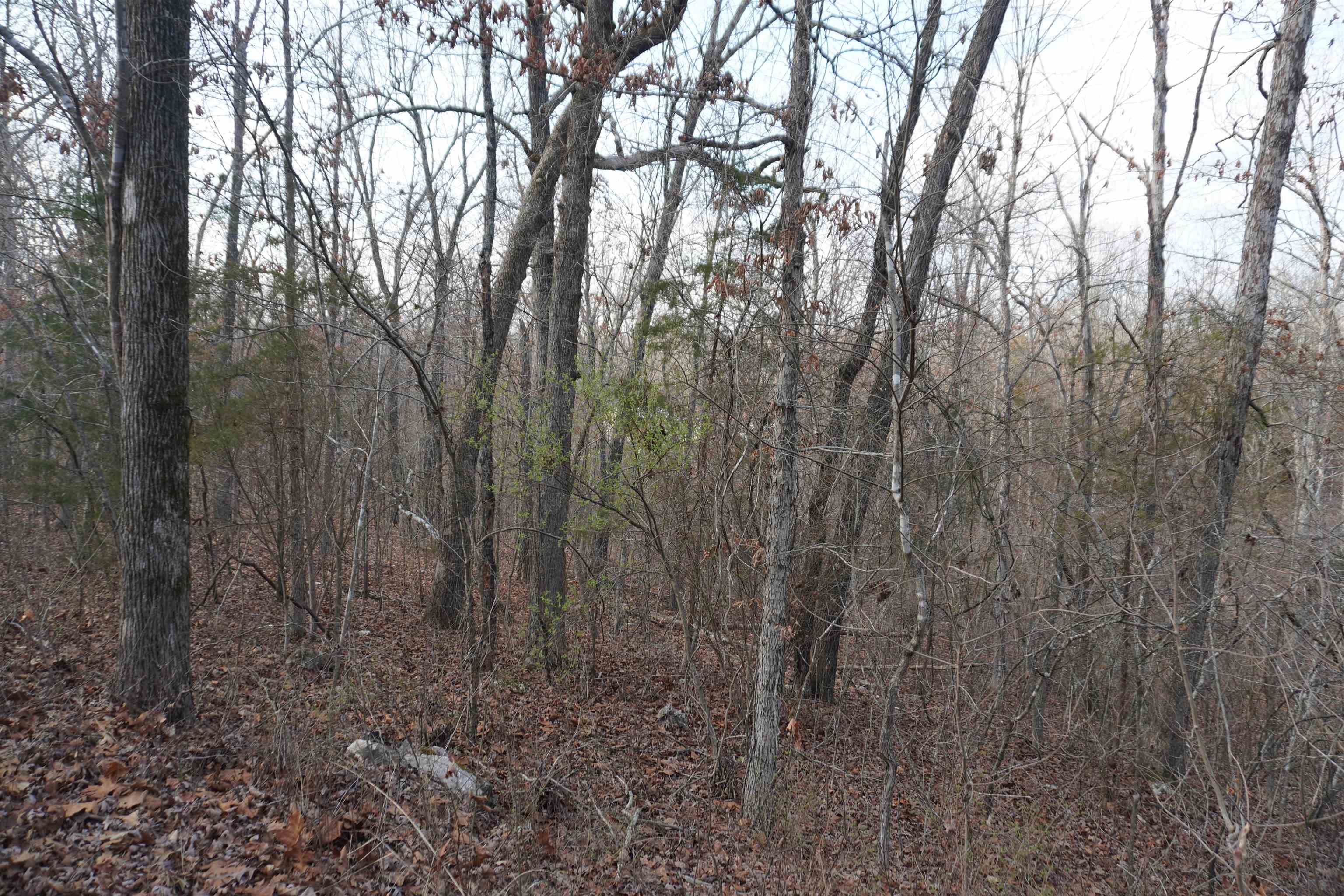 Chickasaw Fourth - Land