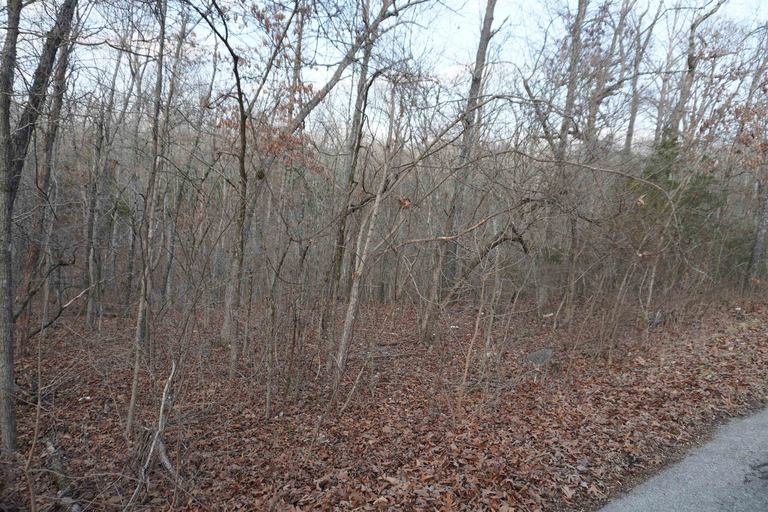 Chickasaw Fourth - Land